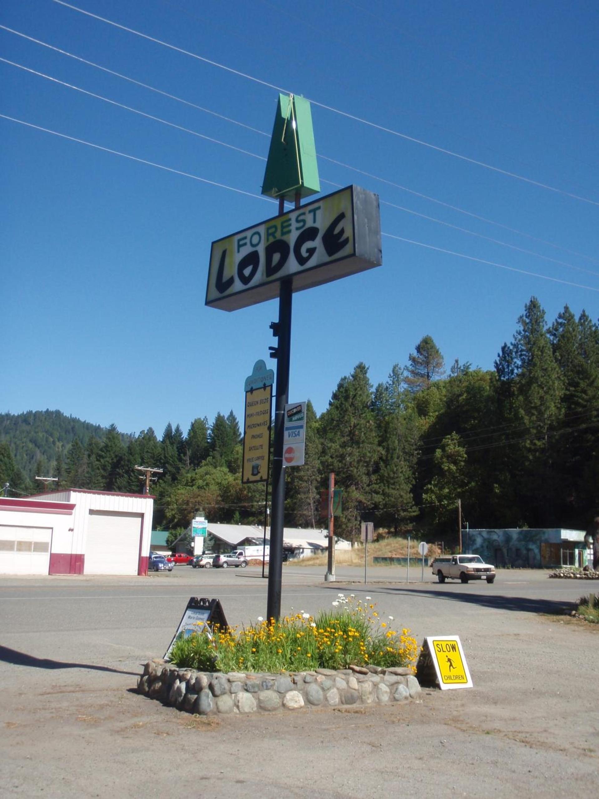 Forest Lodge Motel photo 26