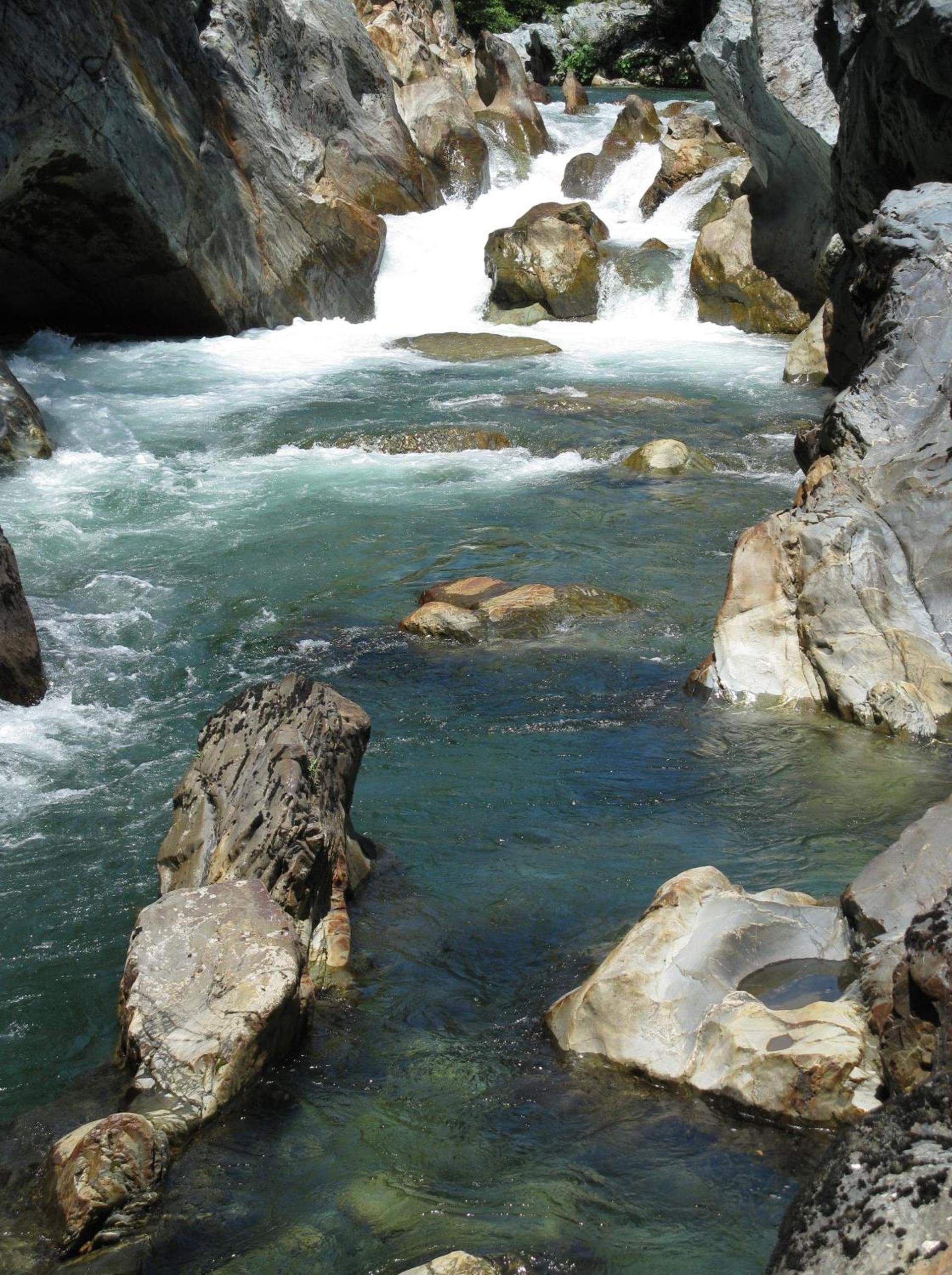 Forest Lodge Motel photo 29