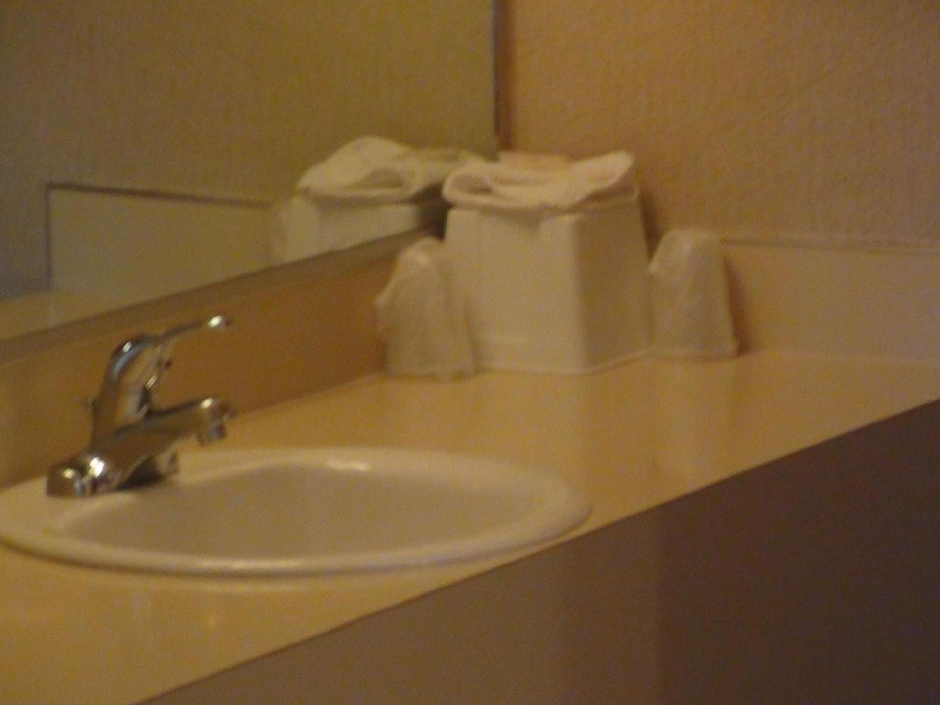 Royal Motor Inn photo 31