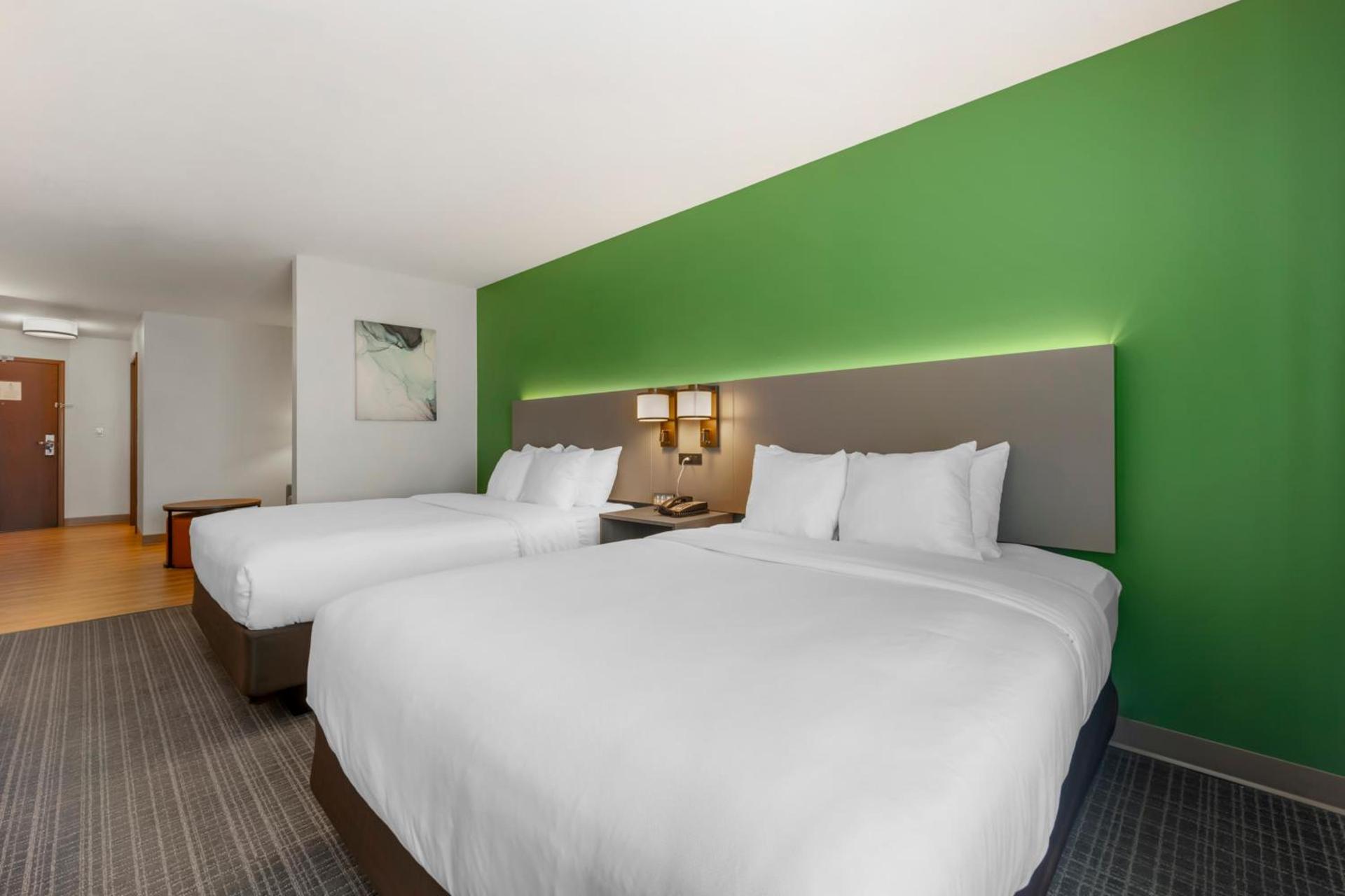 Comfort Suites Conference Center Rapid City photo 37
