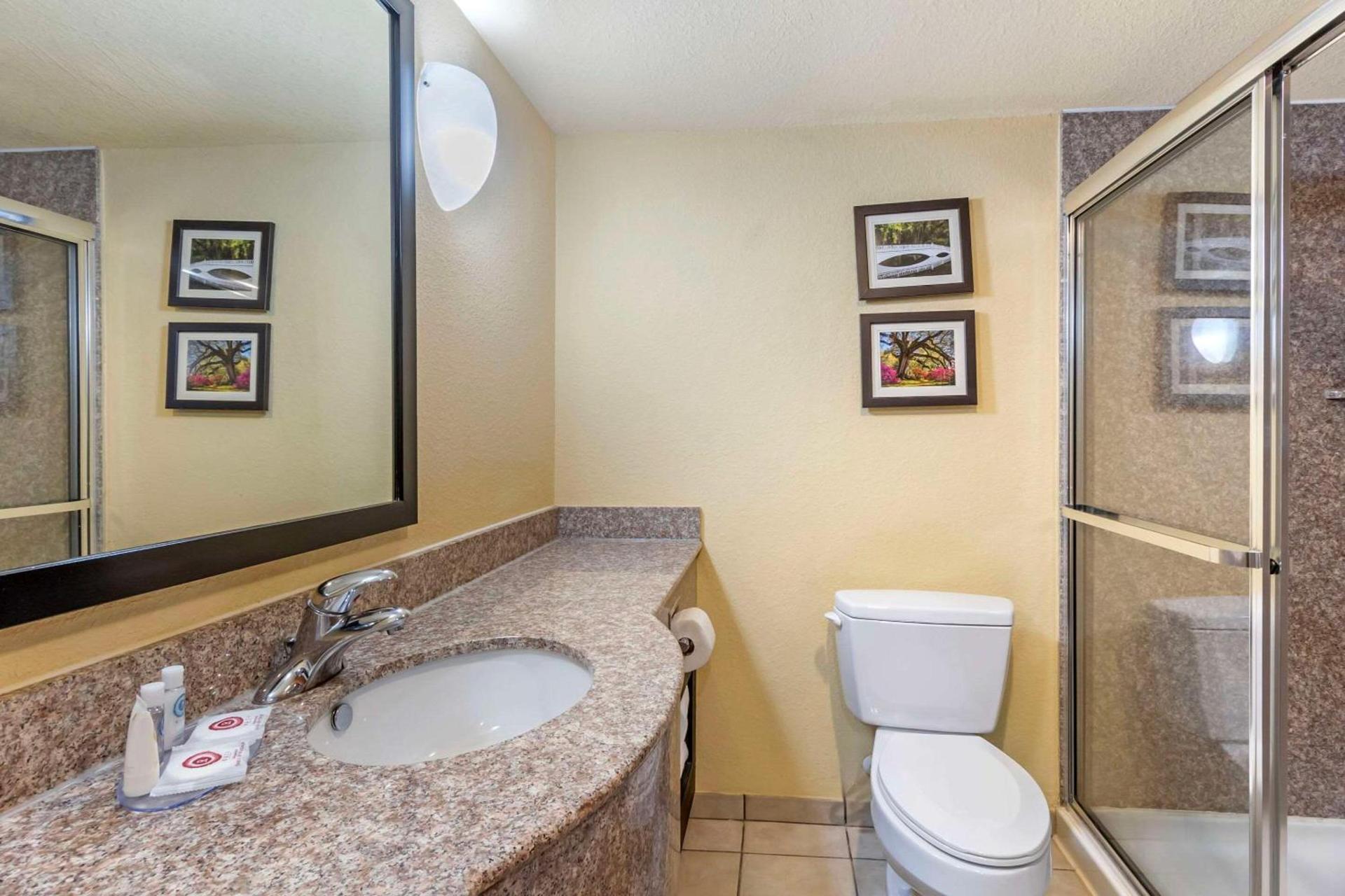 Comfort Inn & Suites Charleston Airport Convention Center photo 25