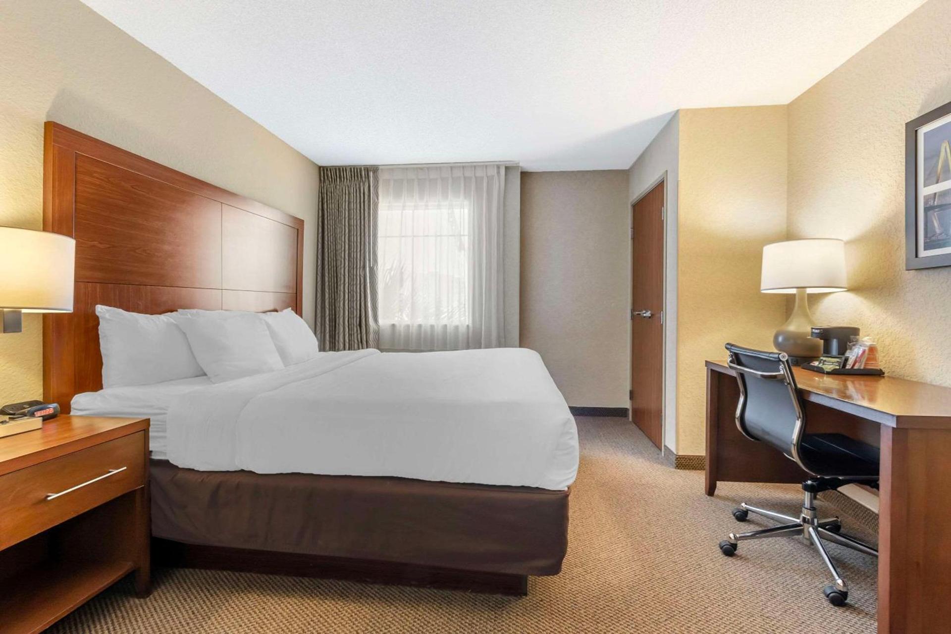 Comfort Inn & Suites Charleston Airport Convention Center photo 3