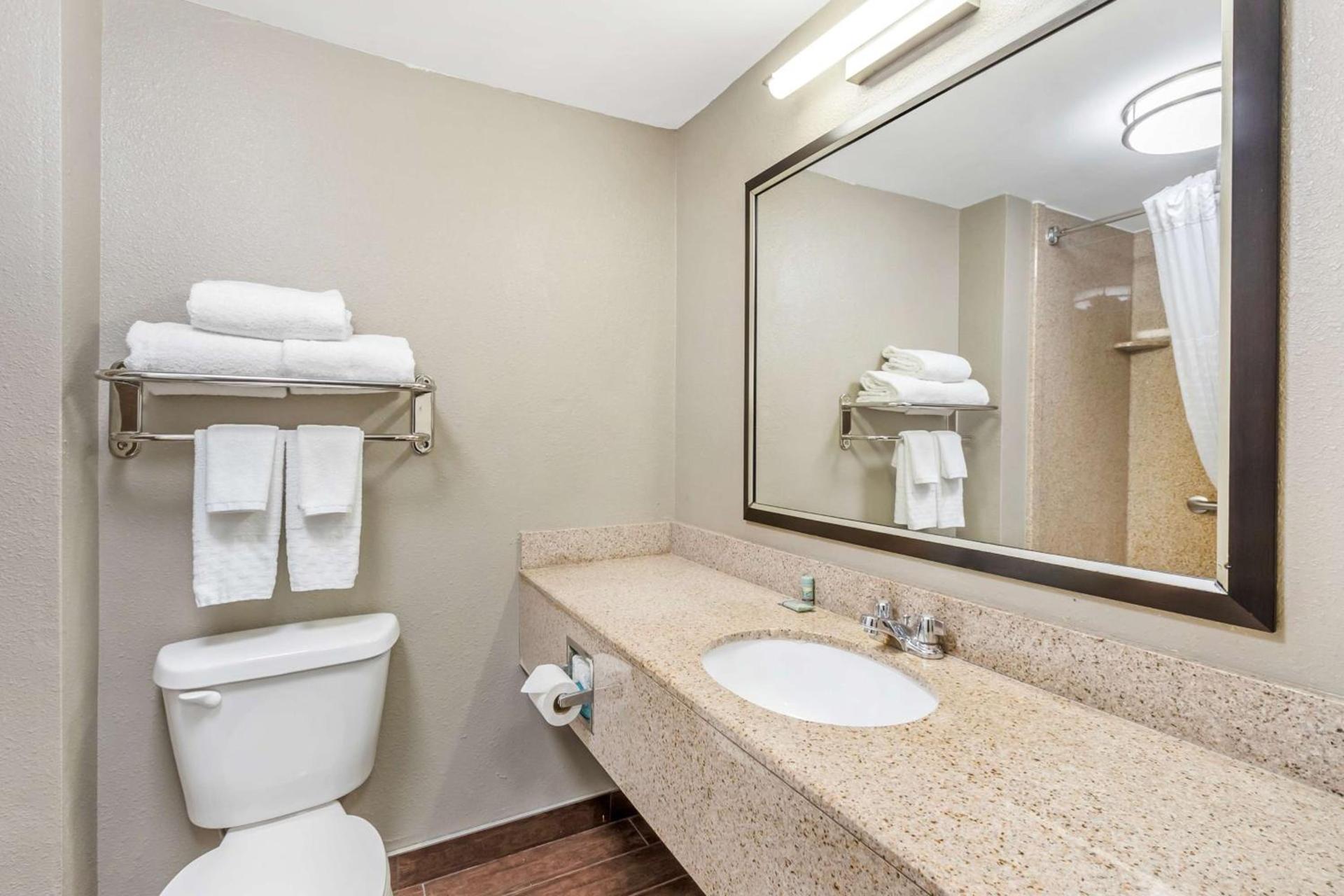 Comfort Inn & Suites North Charleston - Northwoods photo 3