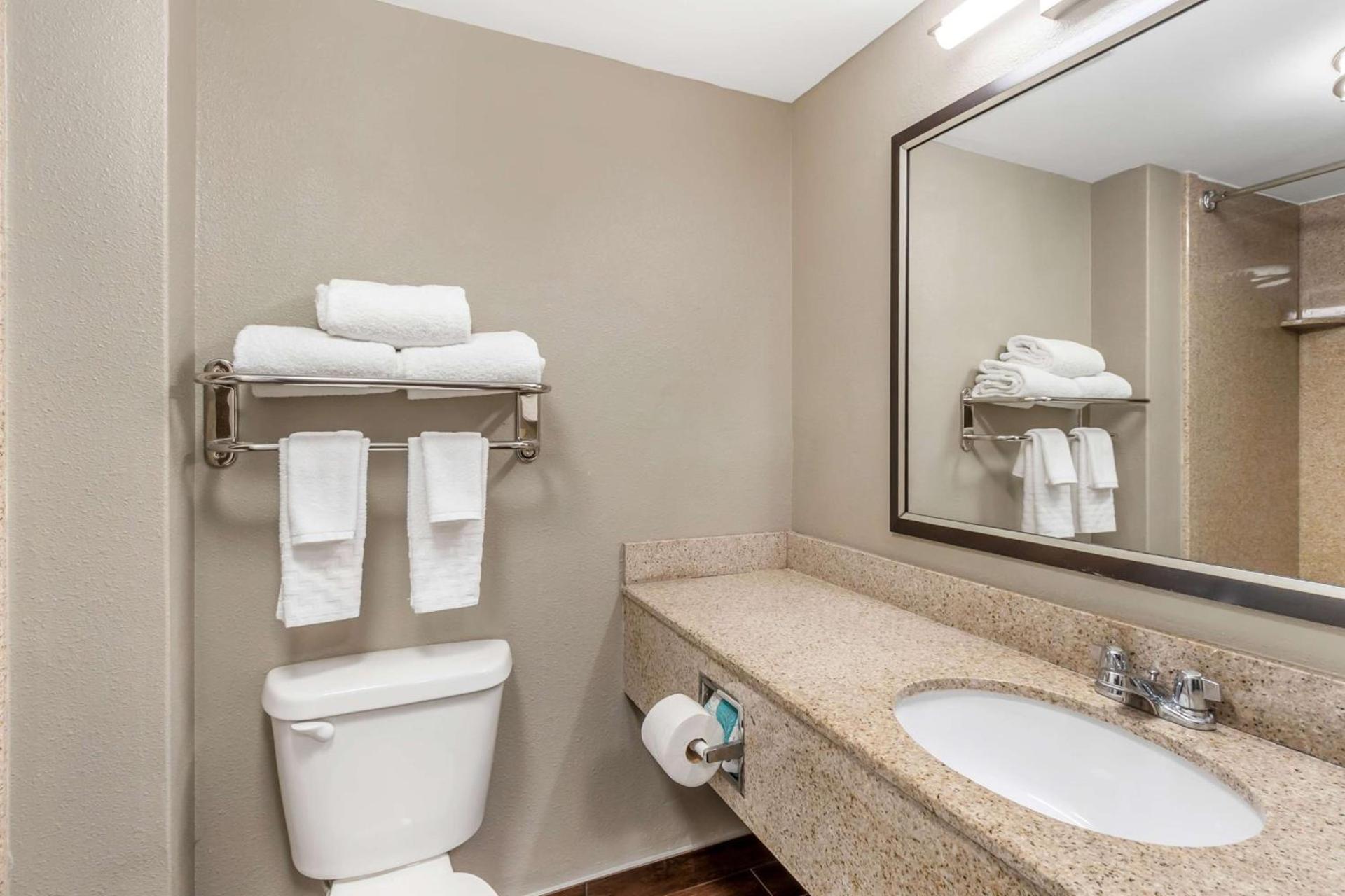 Comfort Inn & Suites North Charleston - Northwoods photo 5