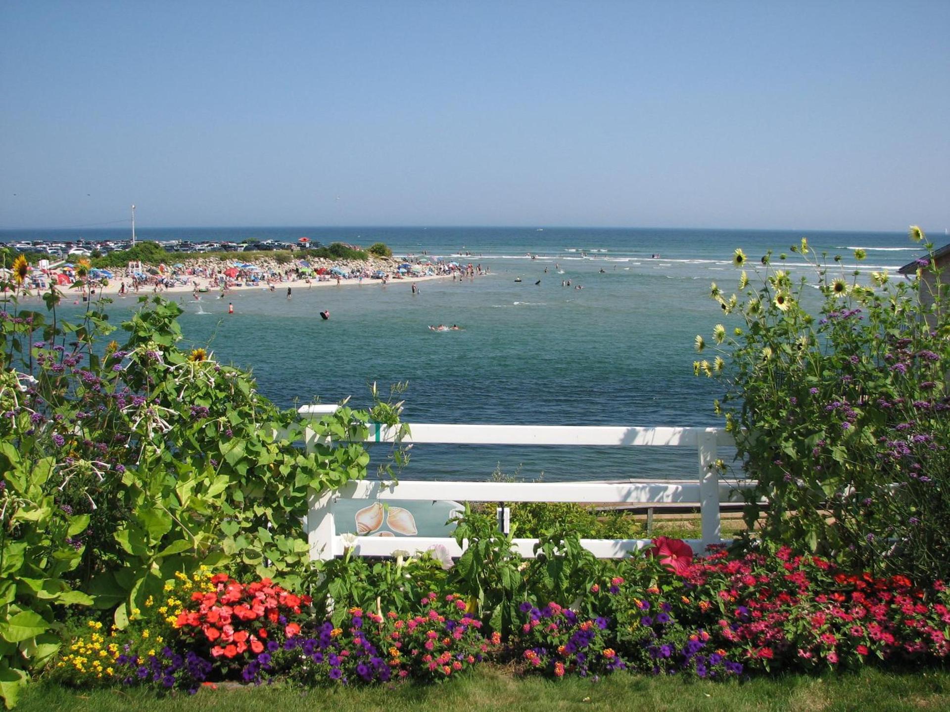 Terrace By The Sea photo 27