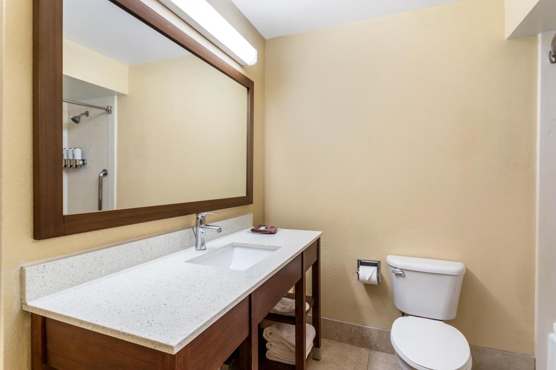 Comfort Suites Bush Intercontinental Airport photo 2