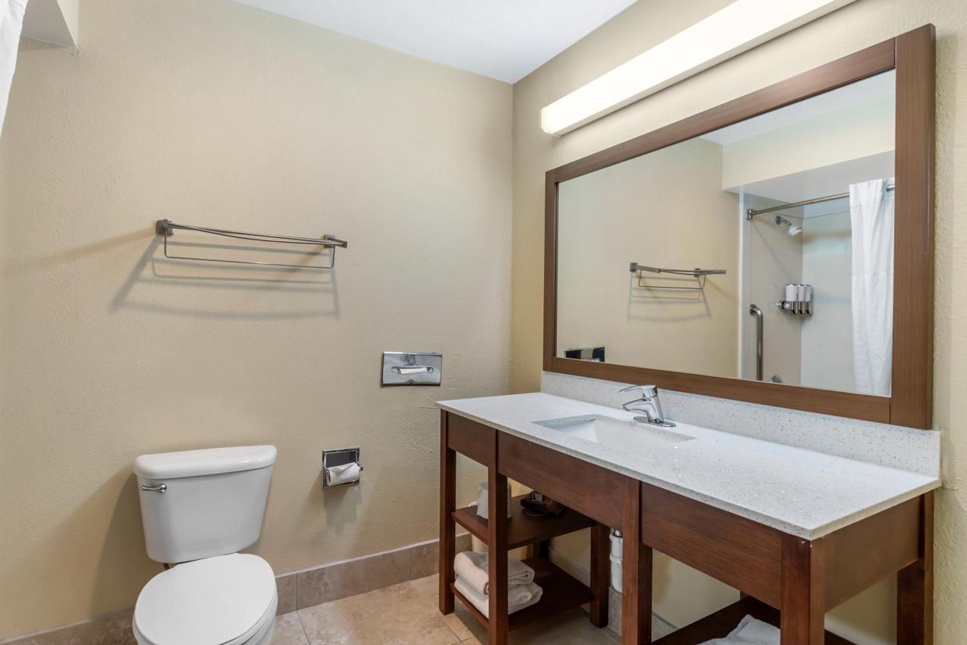 Comfort Suites Bush Intercontinental Airport photo 19