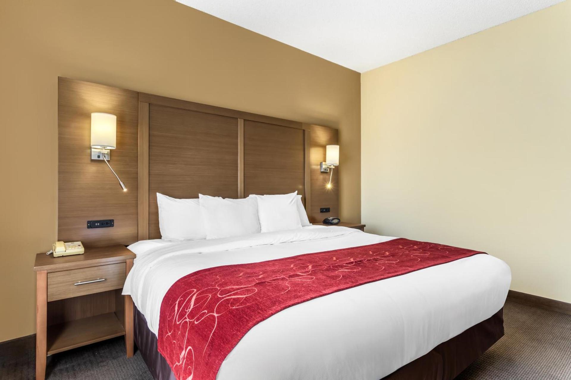 Comfort Suites Bush Intercontinental Airport photo 22