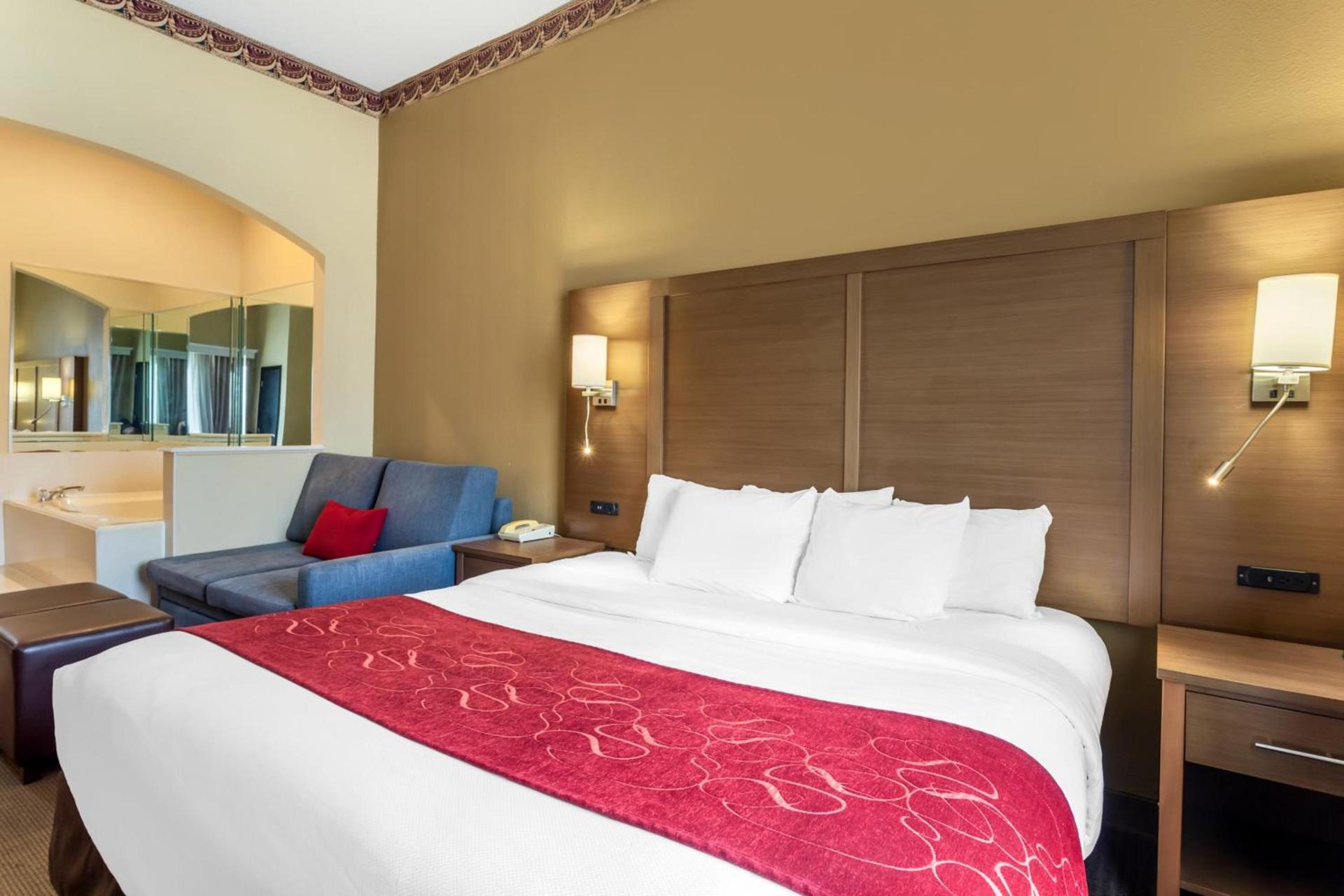 Comfort Suites Bush Intercontinental Airport photo 27