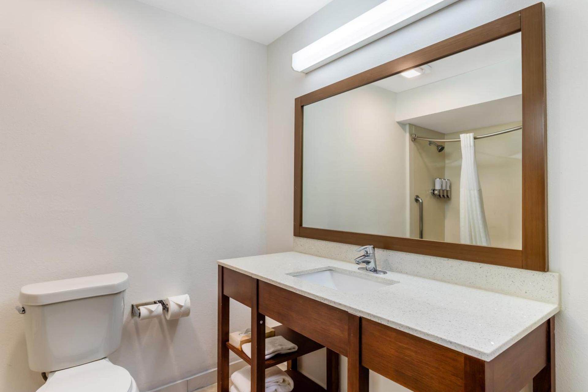 Comfort Suites Bush Intercontinental Airport photo 28