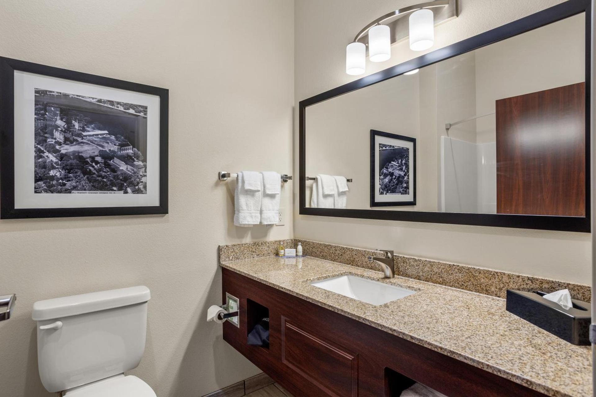 Cobblestone Hotel & Suites - Lynden photo 15