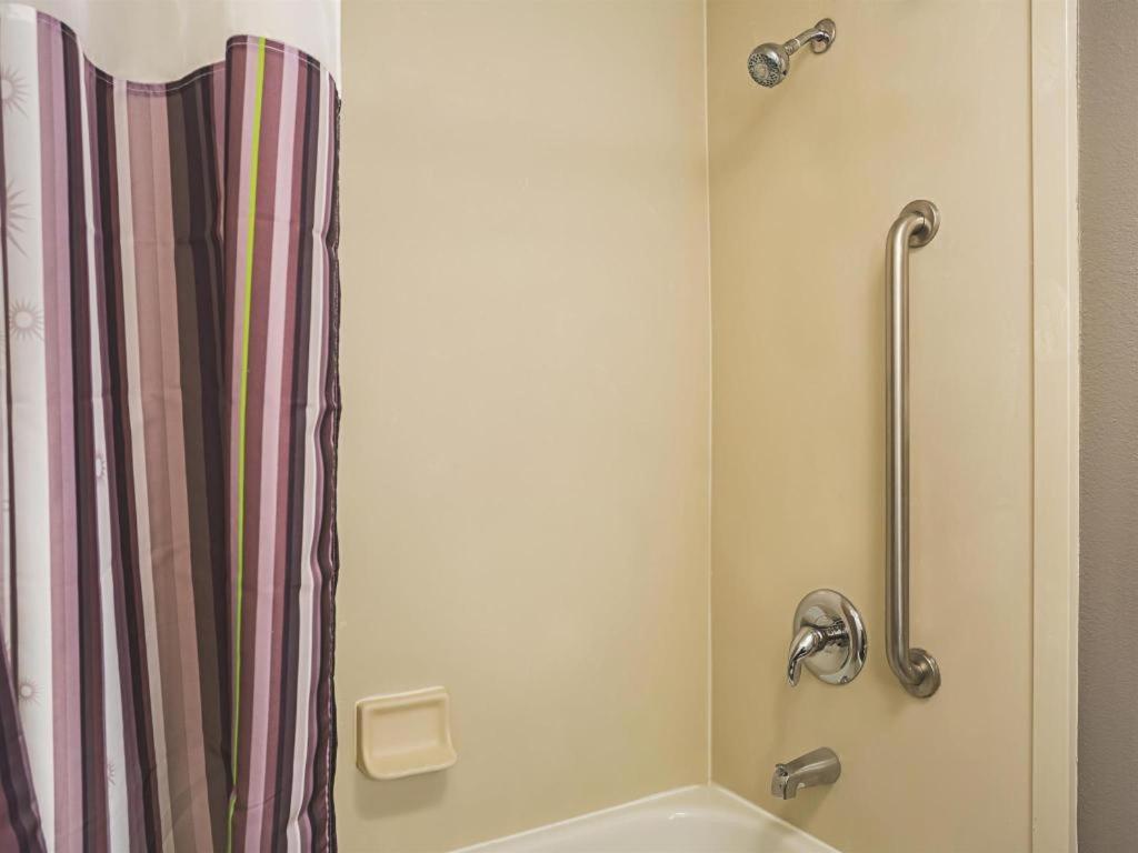 Seattle Bellevue/Kirkland photo 10