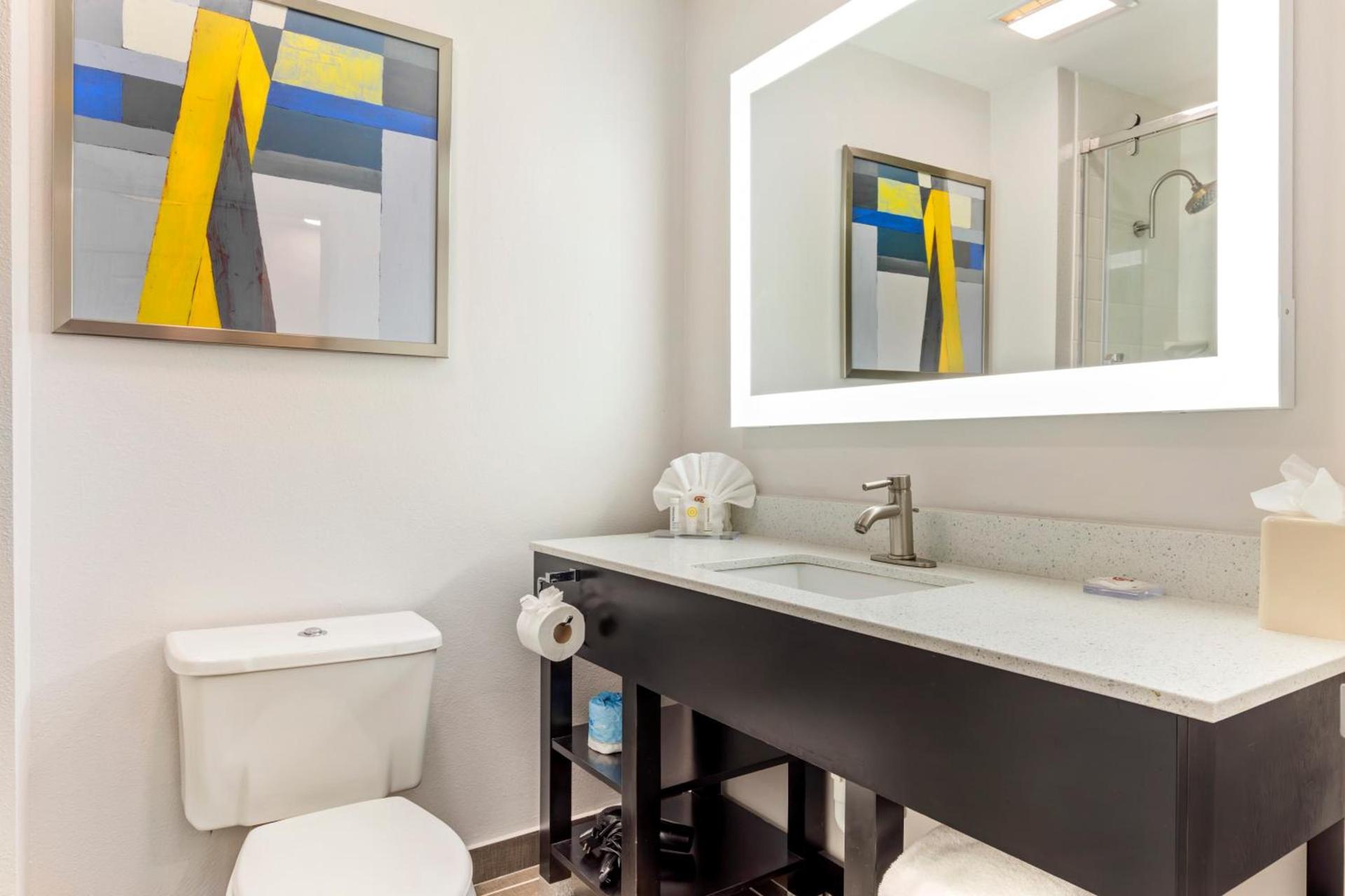 Comfort Inn & Suites Irving Las Colinas DFW photo 25