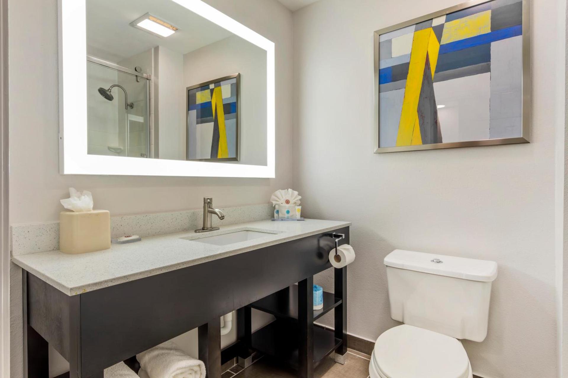 Comfort Inn & Suites Irving Las Colinas DFW photo 16