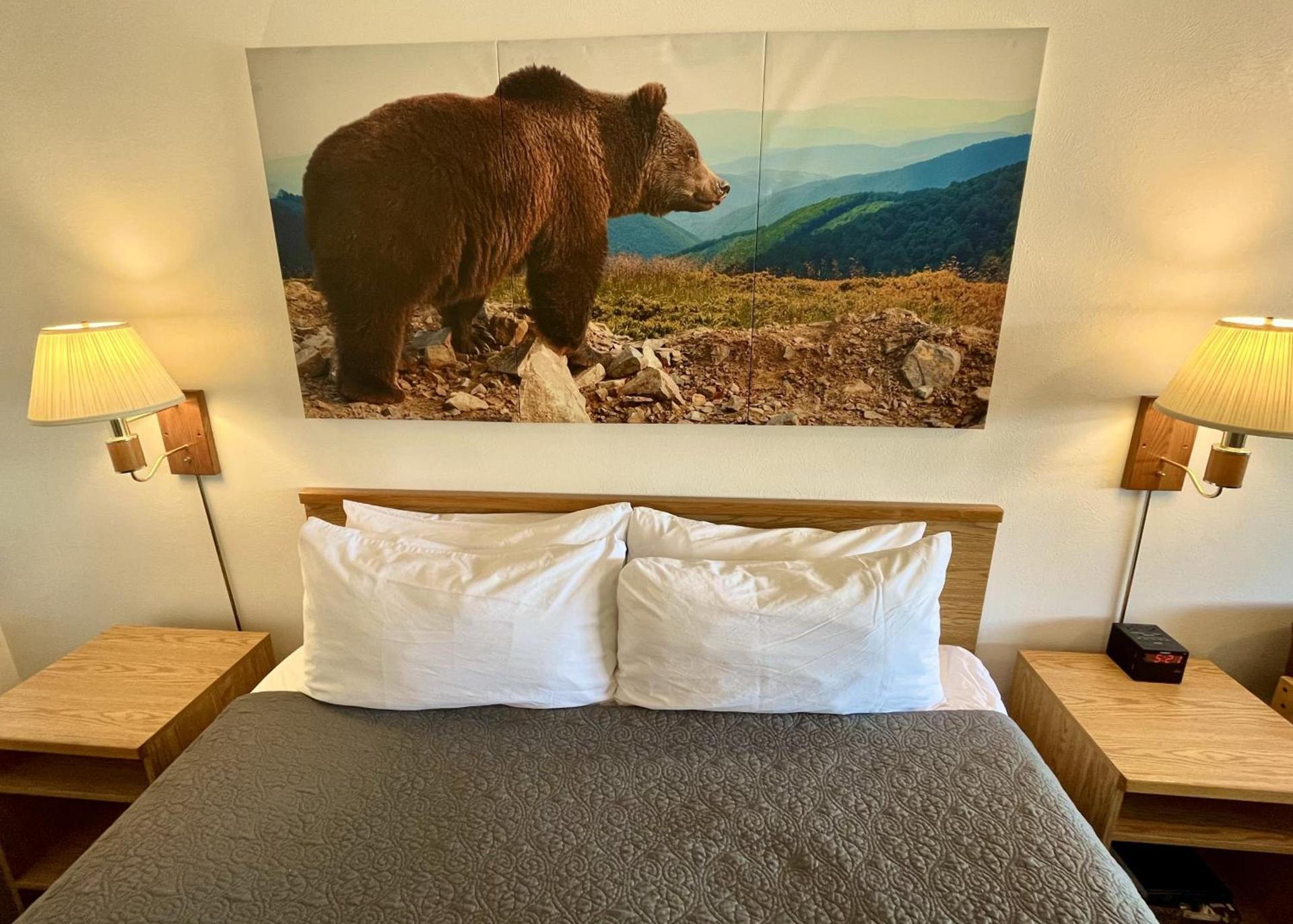 Red Bear Inn photo 18