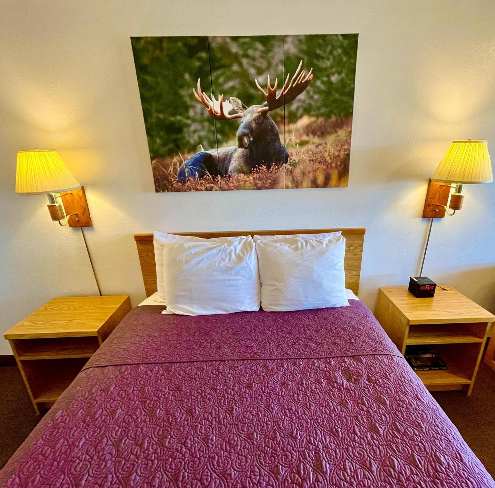 Red Bear Inn photo 36