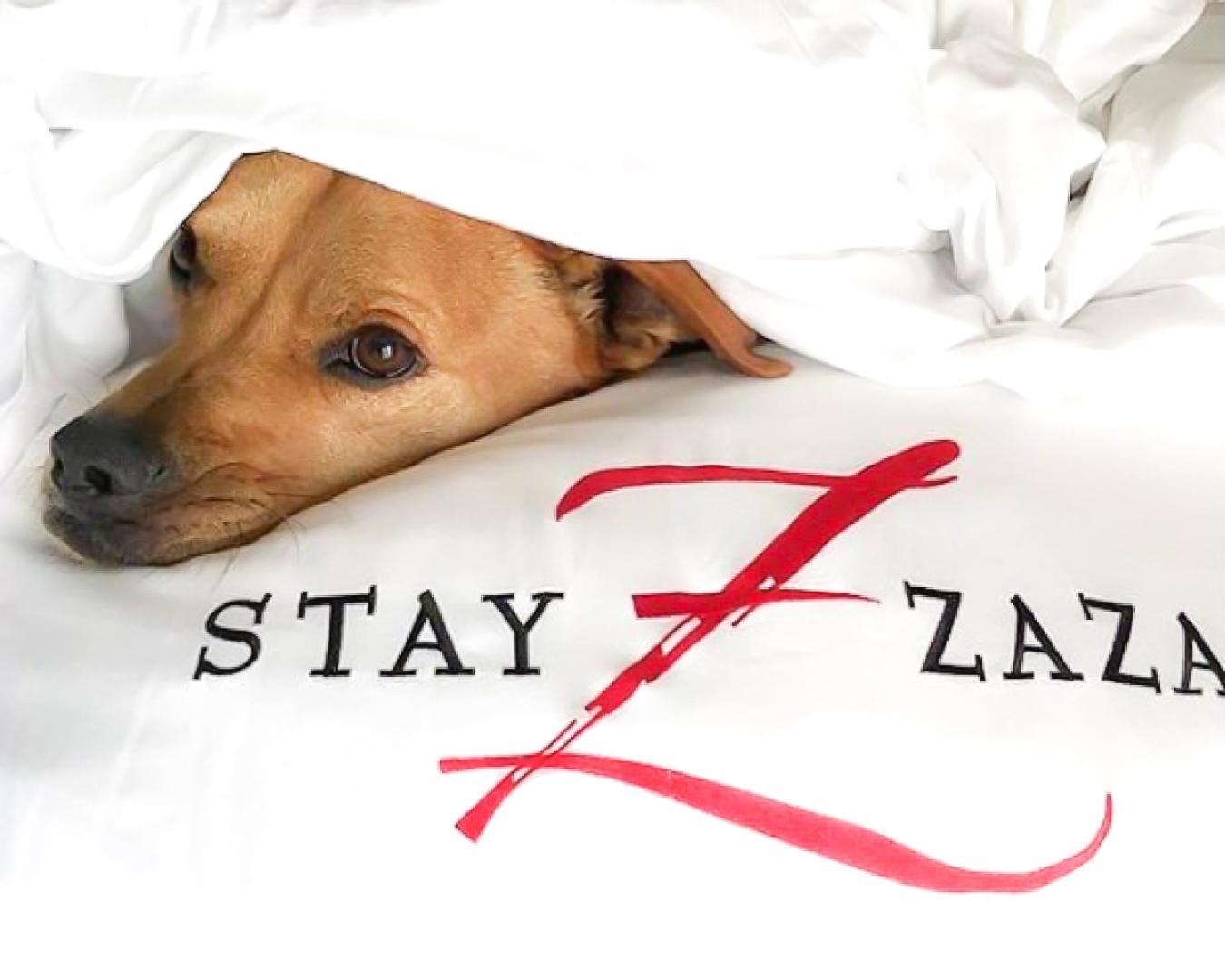 Hotel ZaZa Austin photo 13