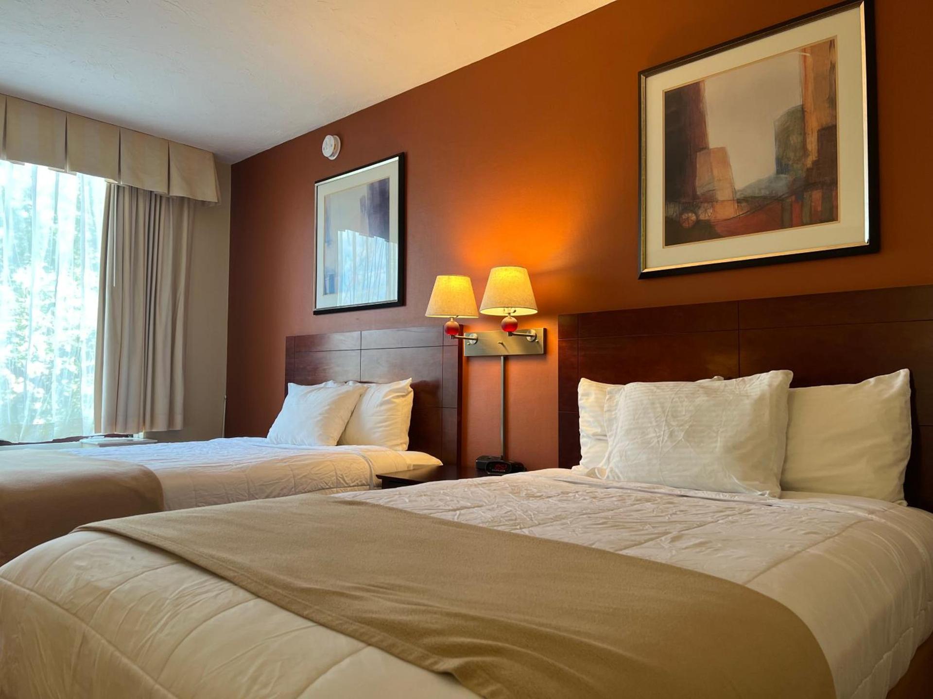 Hotel Boston photo 53