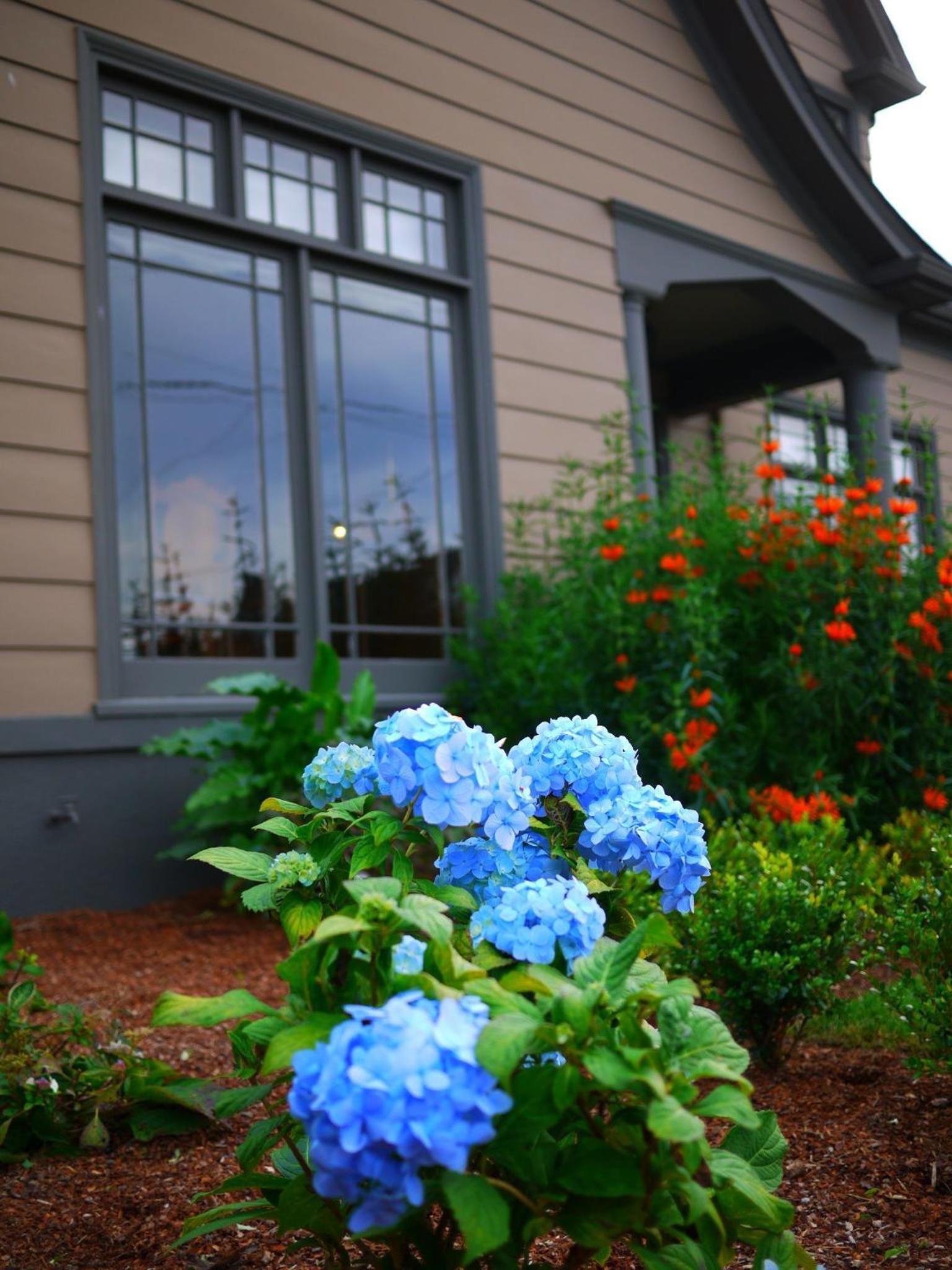 Hydrangea Inn photo 2