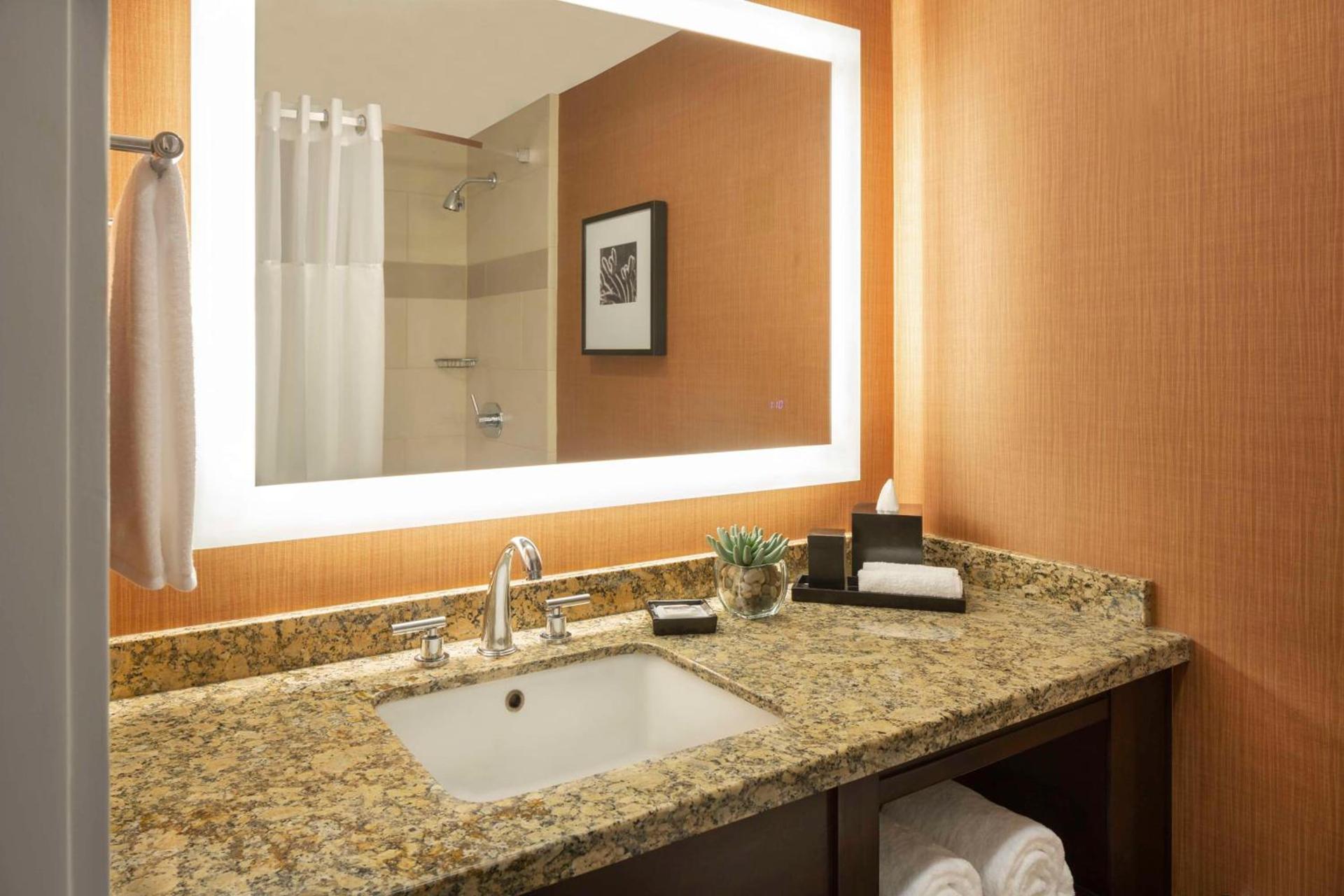 Hyatt Regency Phoenix Downtown photo 9