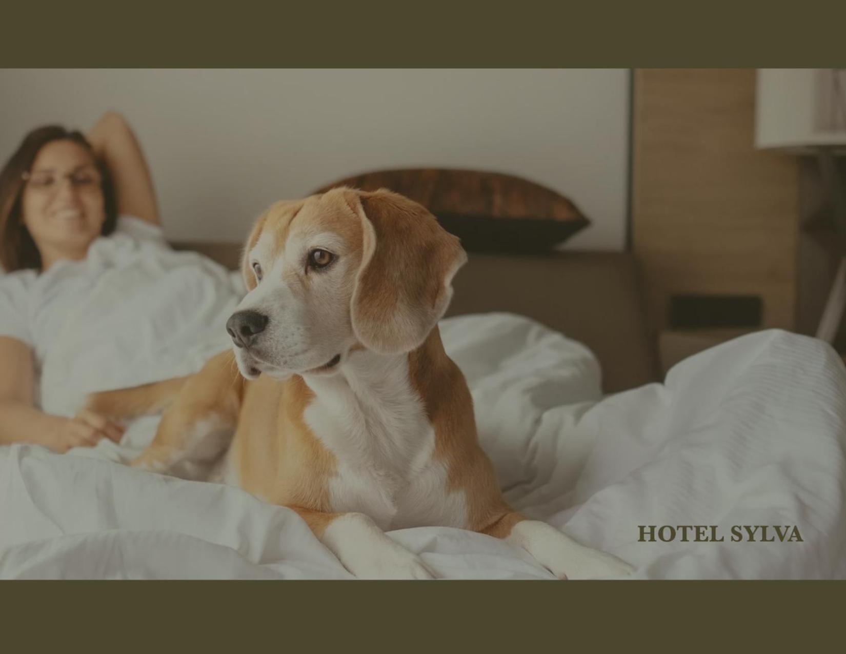 Hotel Sylva photo 6