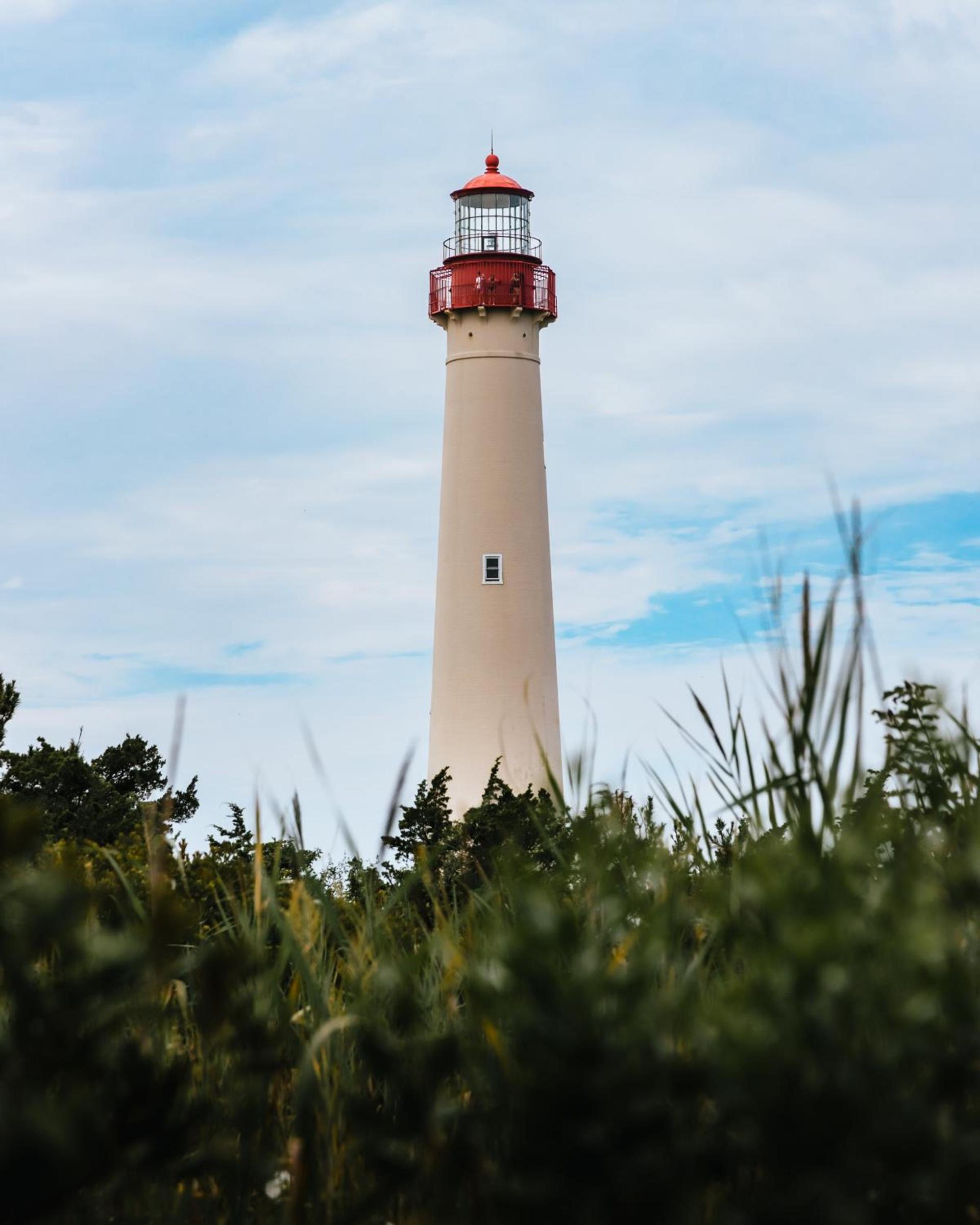 ICONA Cape May photo 89