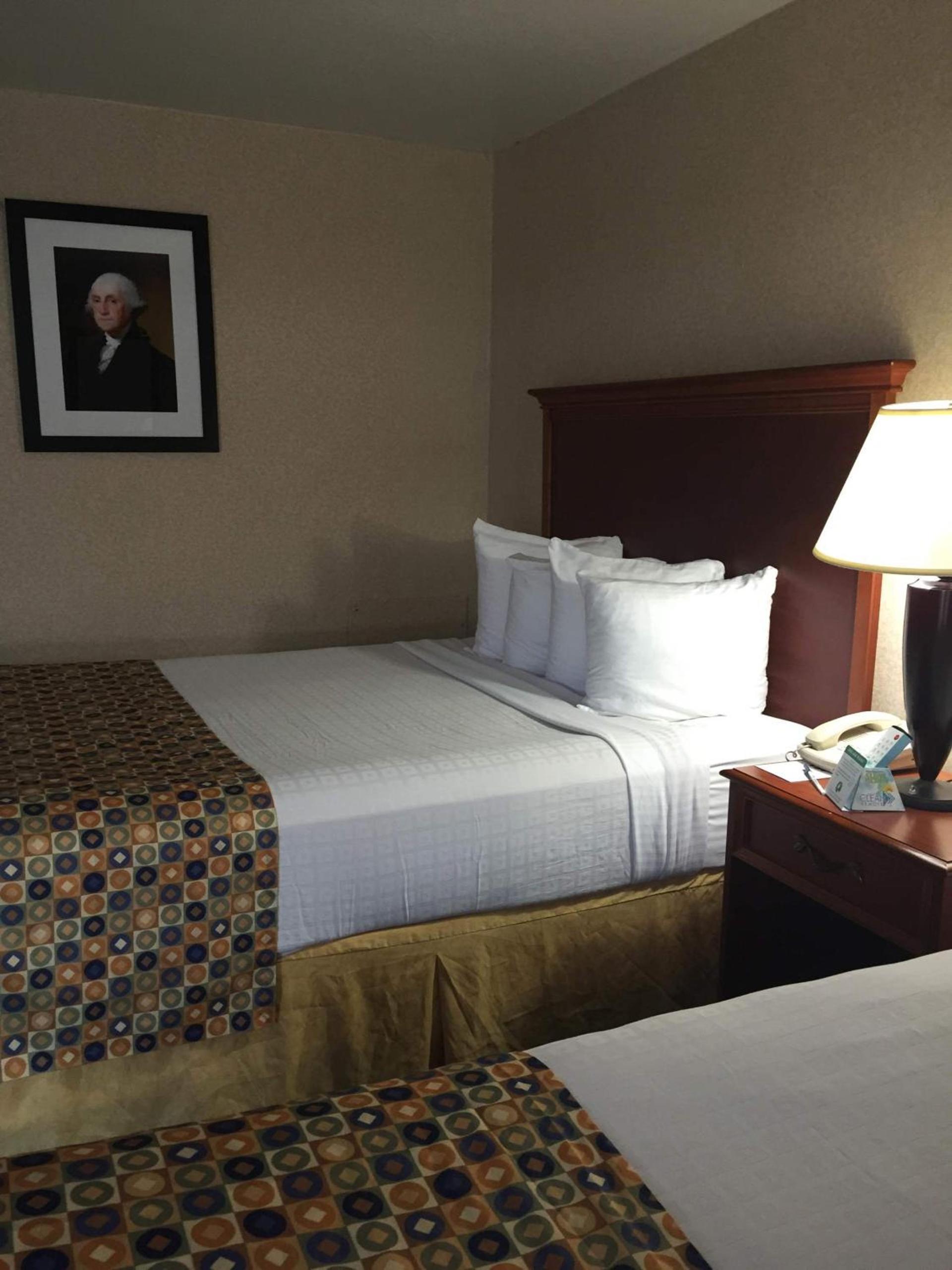 Hotel Pentagon photo 25