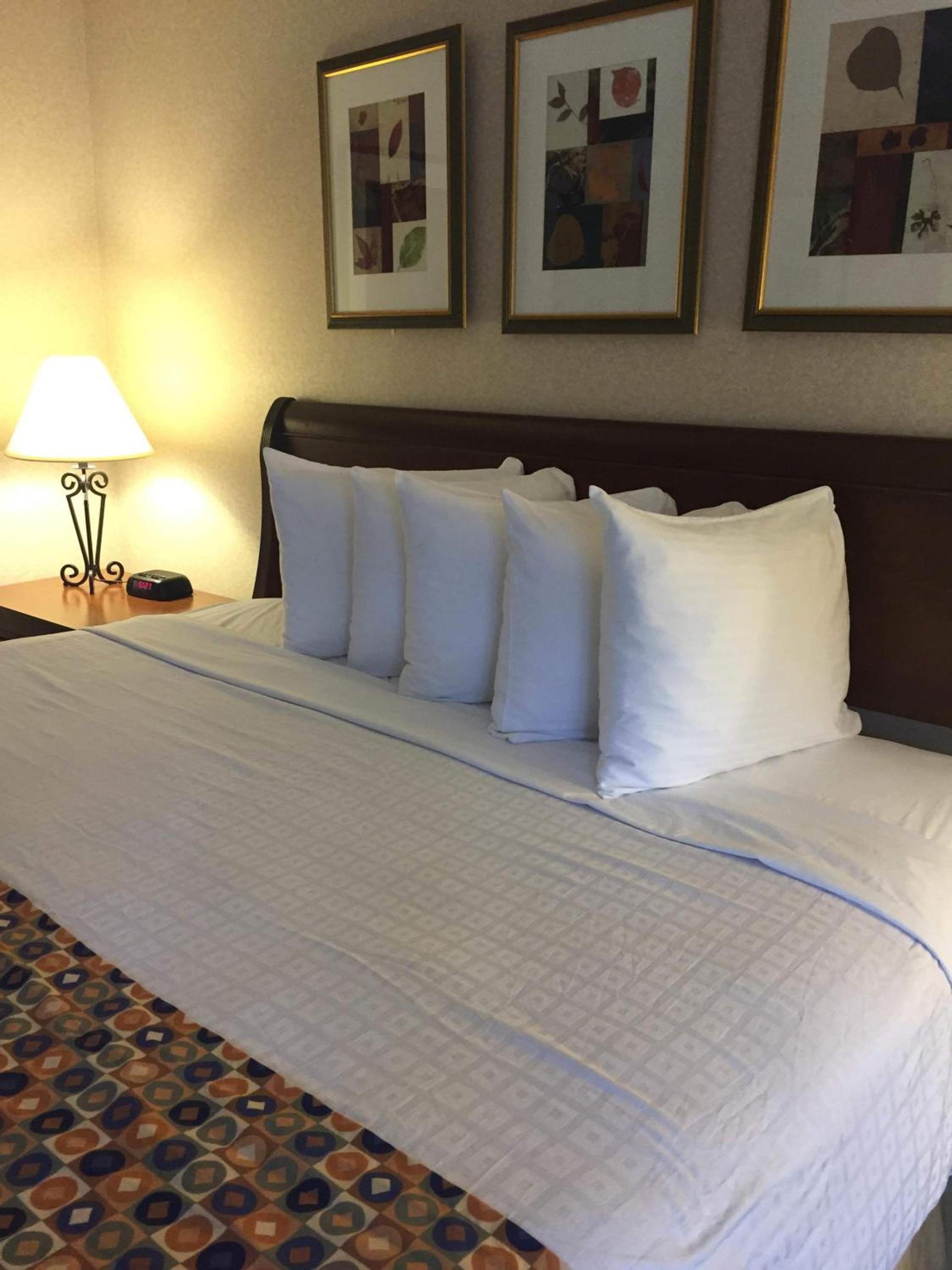 Hotel Pentagon photo 19