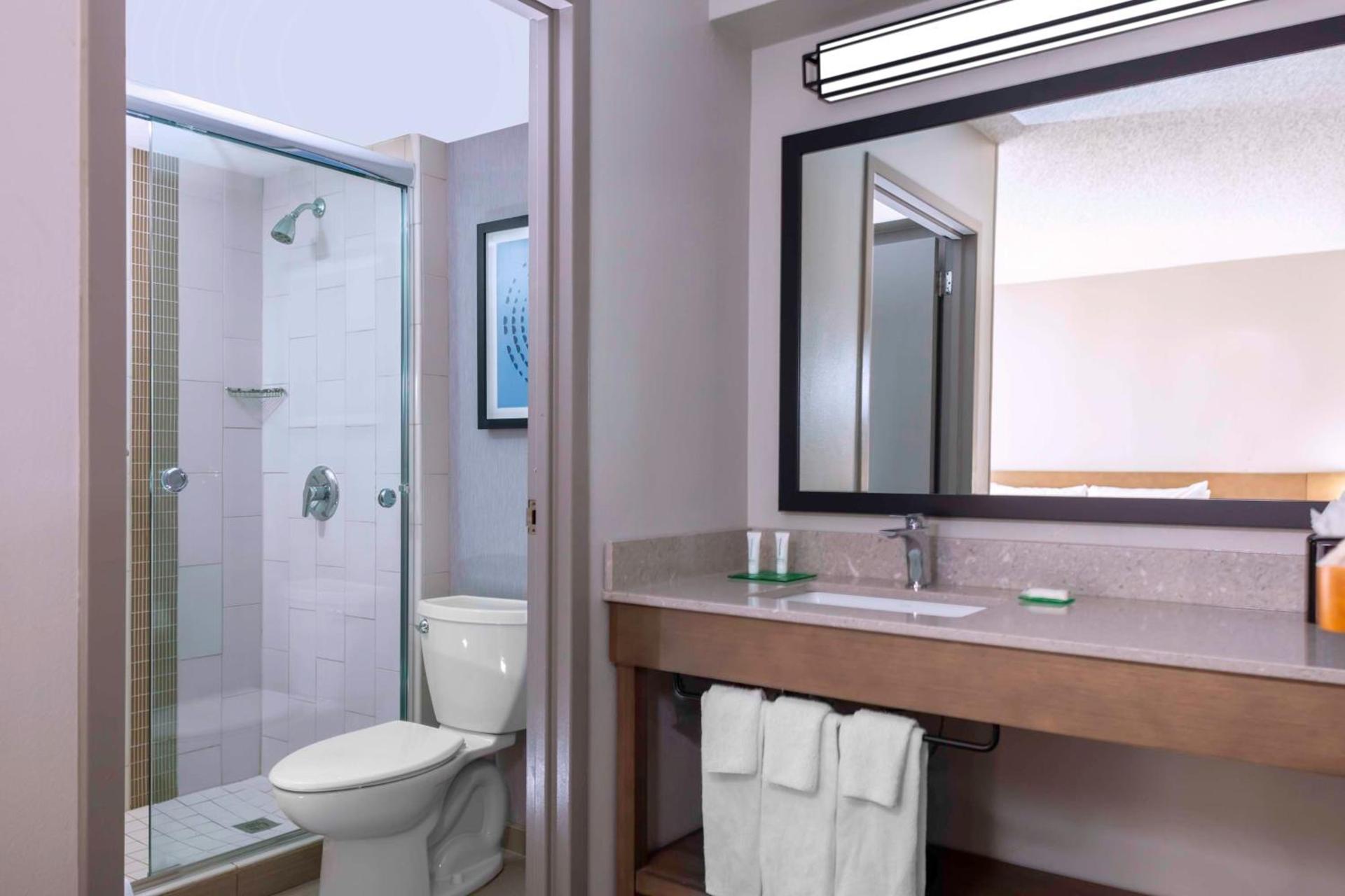 Hyatt Place-Dallas/Arlington photo 61