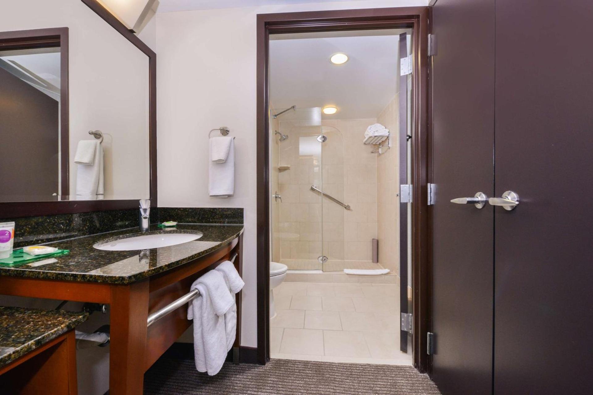 Hyatt Place Herndon Dulles Airport - East photo 10