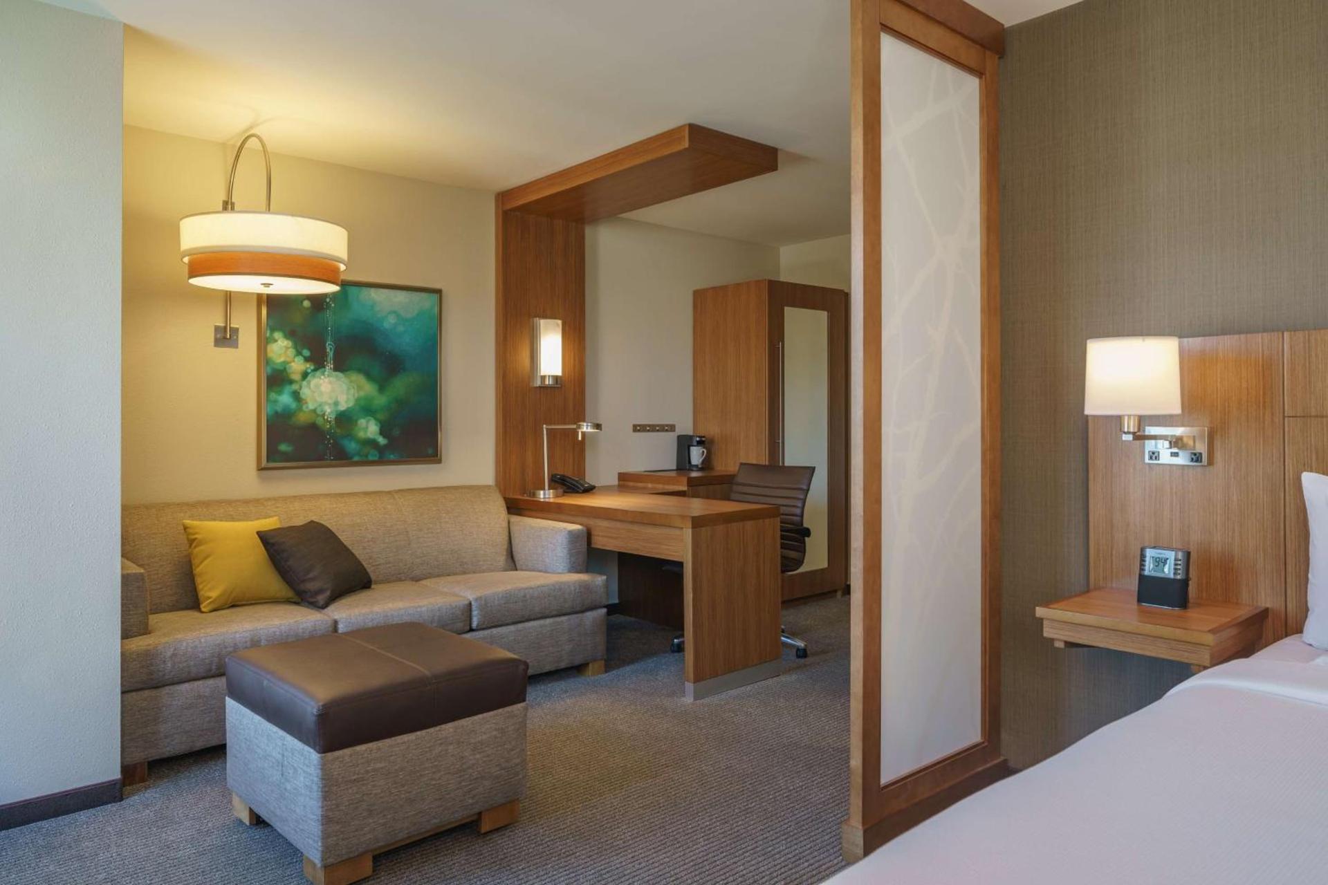 Hyatt Place Houston Galleria photo 16