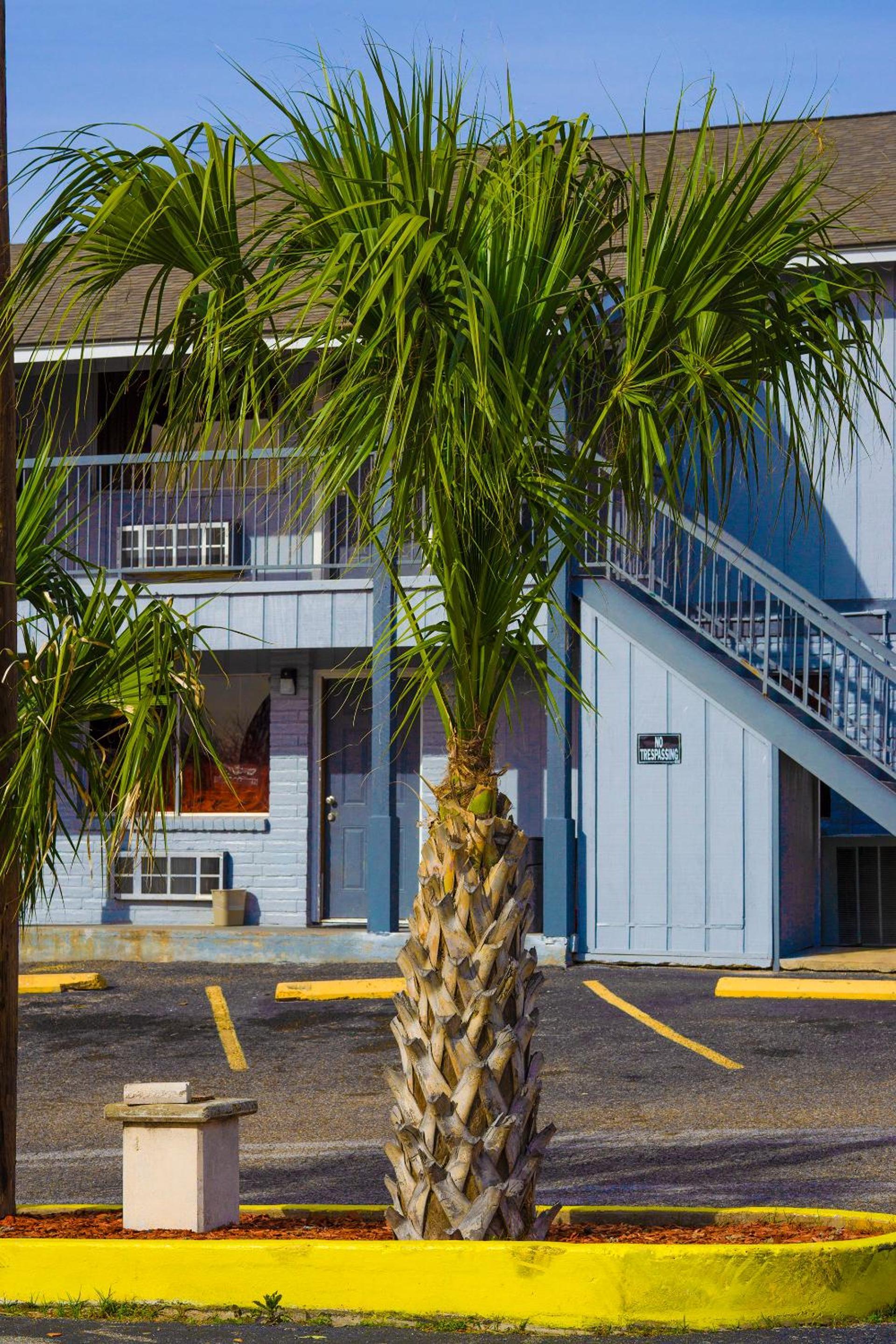 Regency Inn Three Rivers I-37 photo 51
