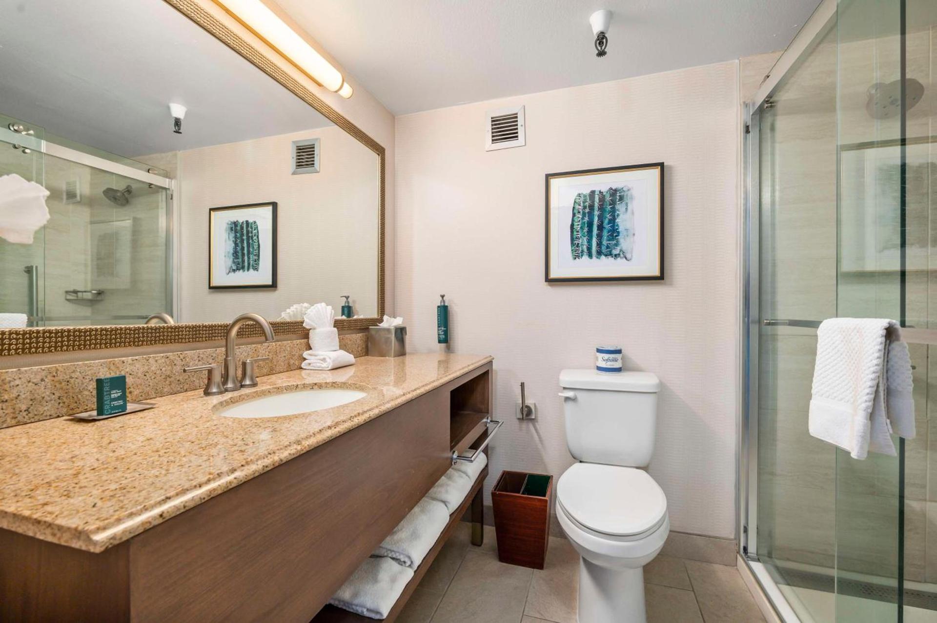 DoubleTree by Hilton Tucson-Reid Park photo 14