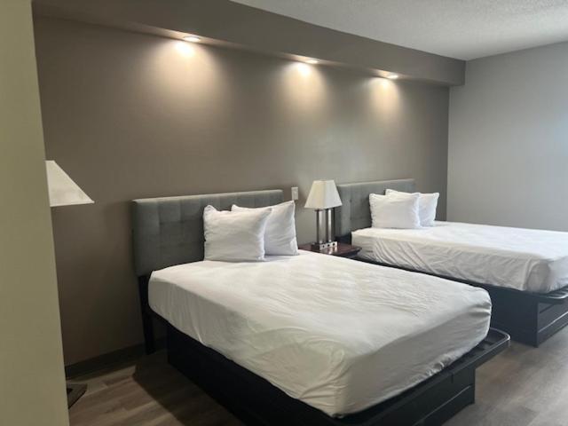 Baymont by Wyndham Lakeland photo 25