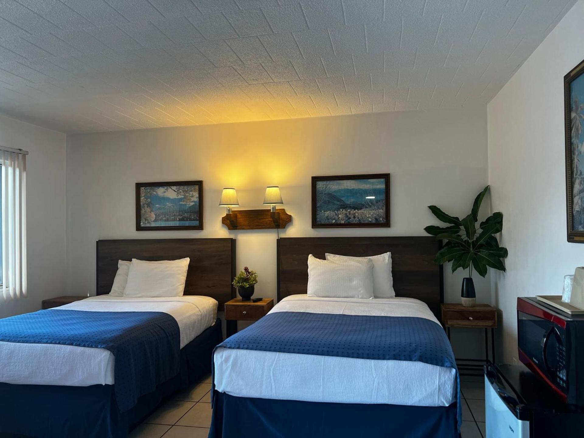 Nocturne Motel photo 5