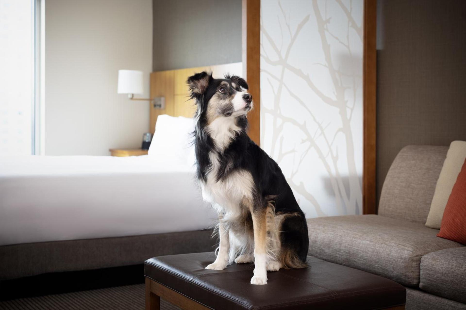 Hyatt Place Denver Downtown photo 4