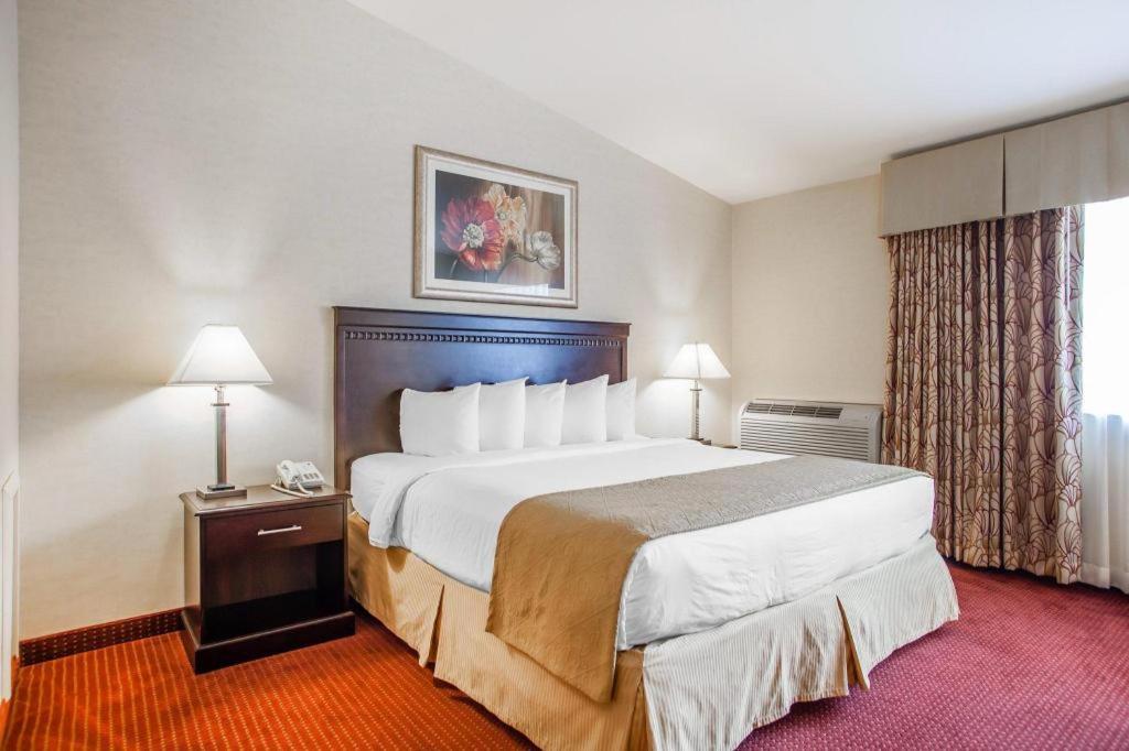 Quality Inn & Suites photo 6