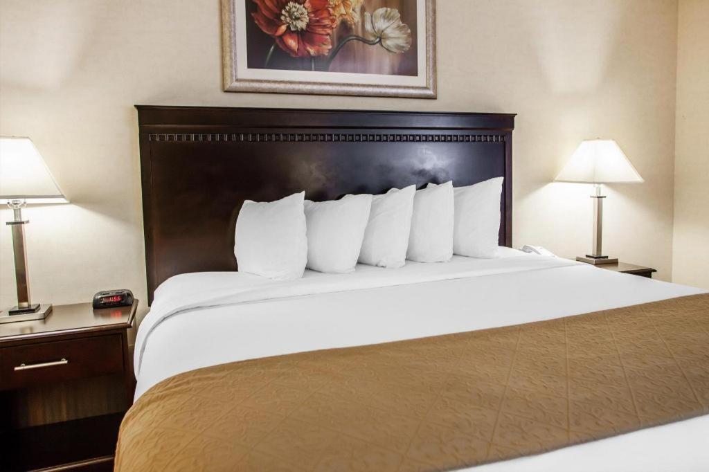 Quality Inn & Suites photo 7