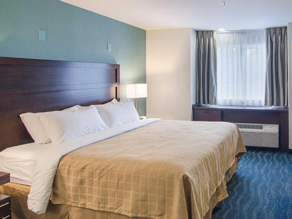 Quality Inn photo 34