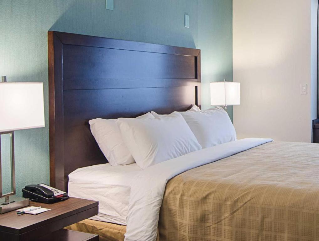 Quality Inn photo 45