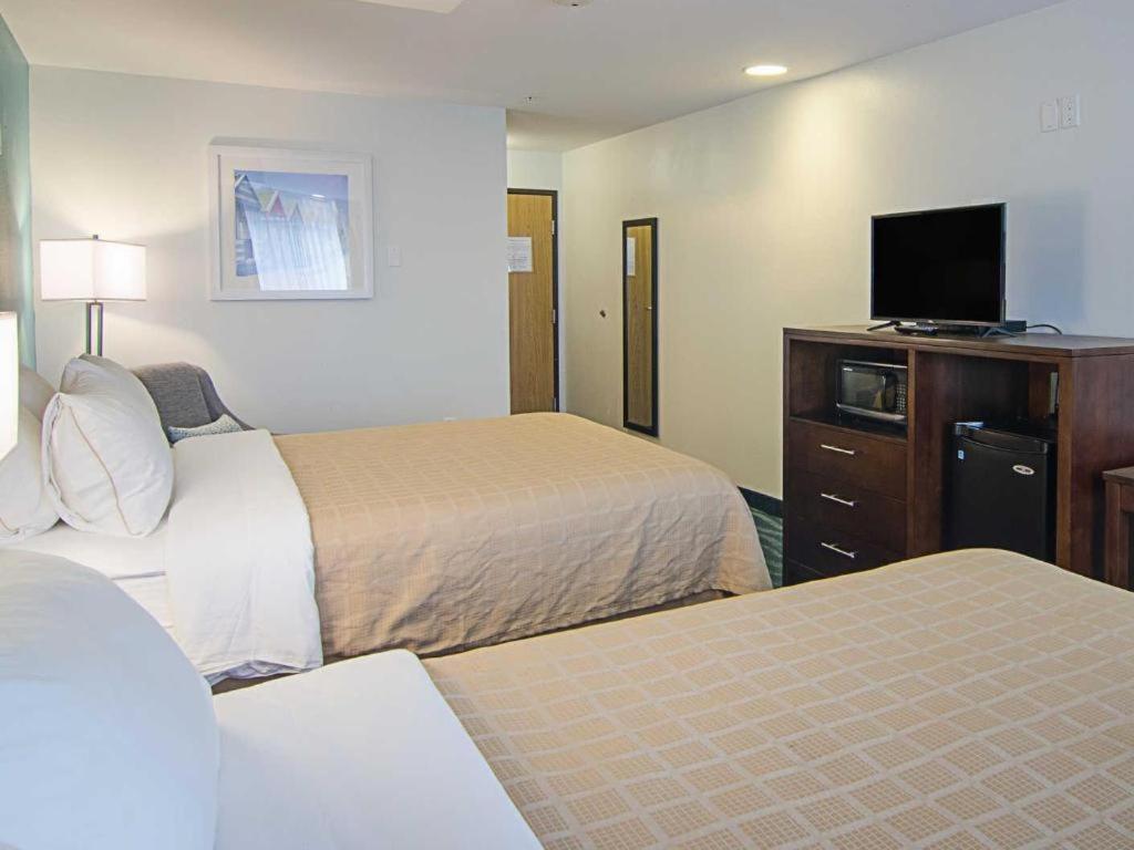 Quality Inn photo 47