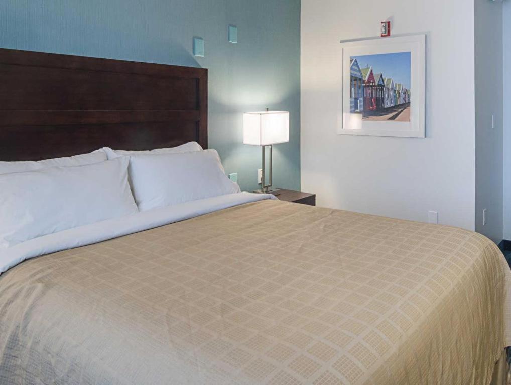 Quality Inn photo 58