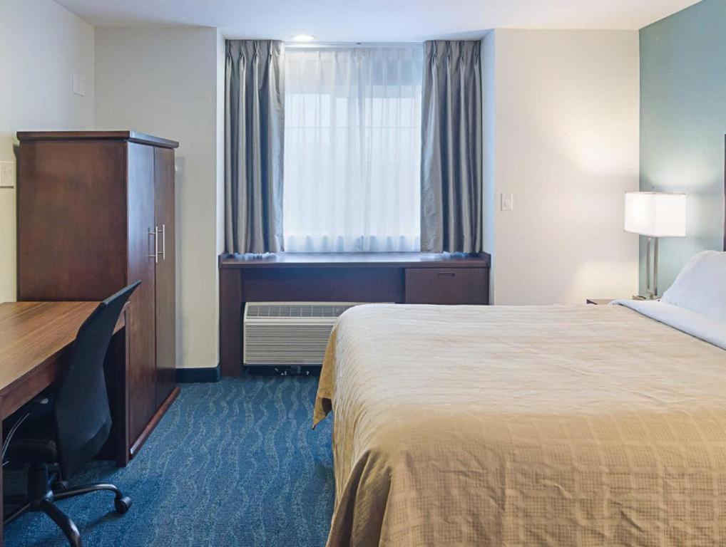 Quality Inn photo 60