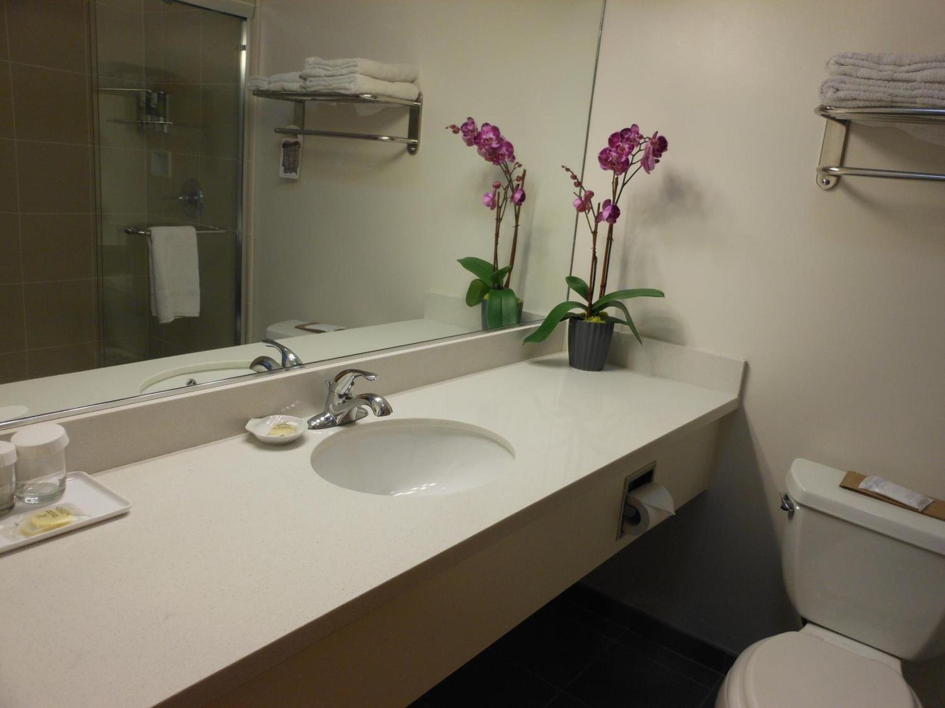 Grant Plaza Hotel photo 23