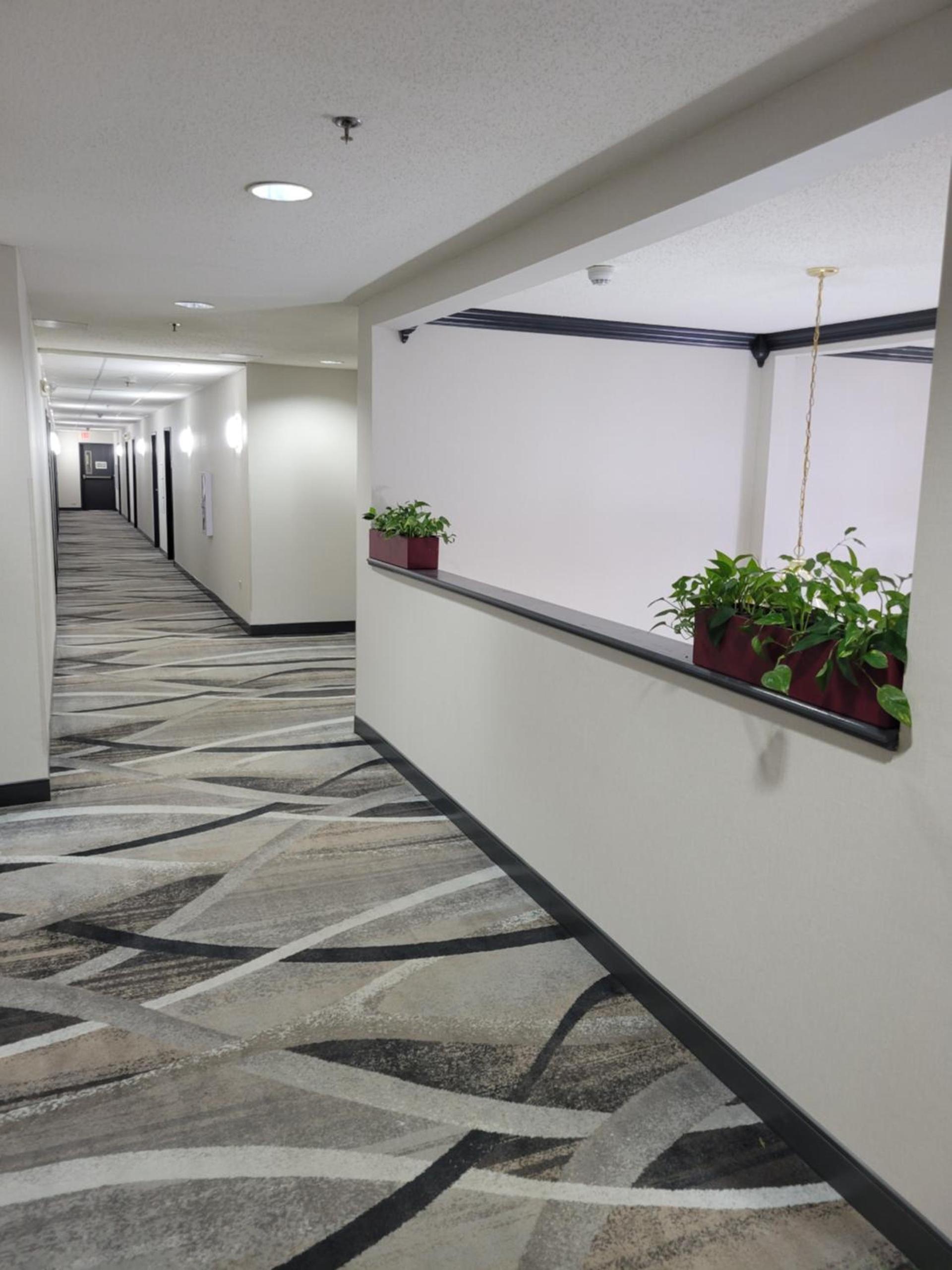 Super 8 by Wyndham Aurora/Naperville Area photo 12