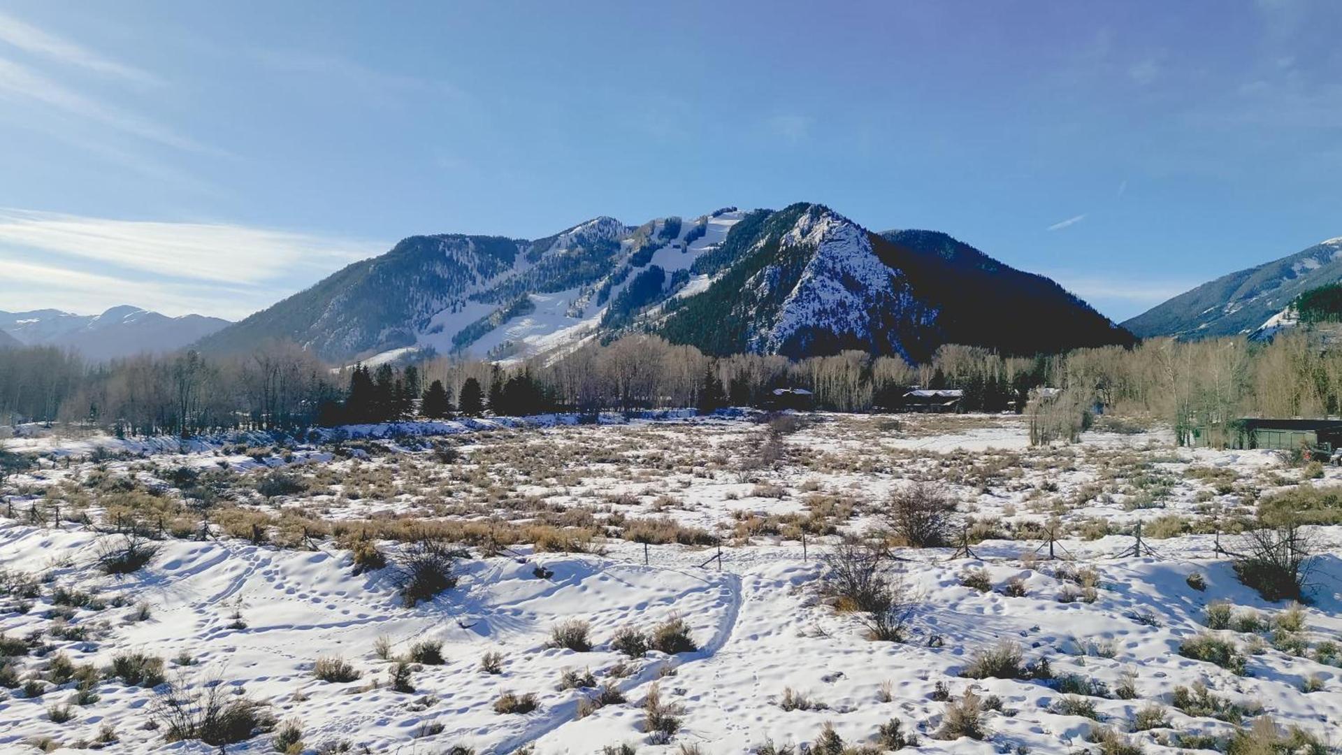 Aspen Meadows Resort photo 63