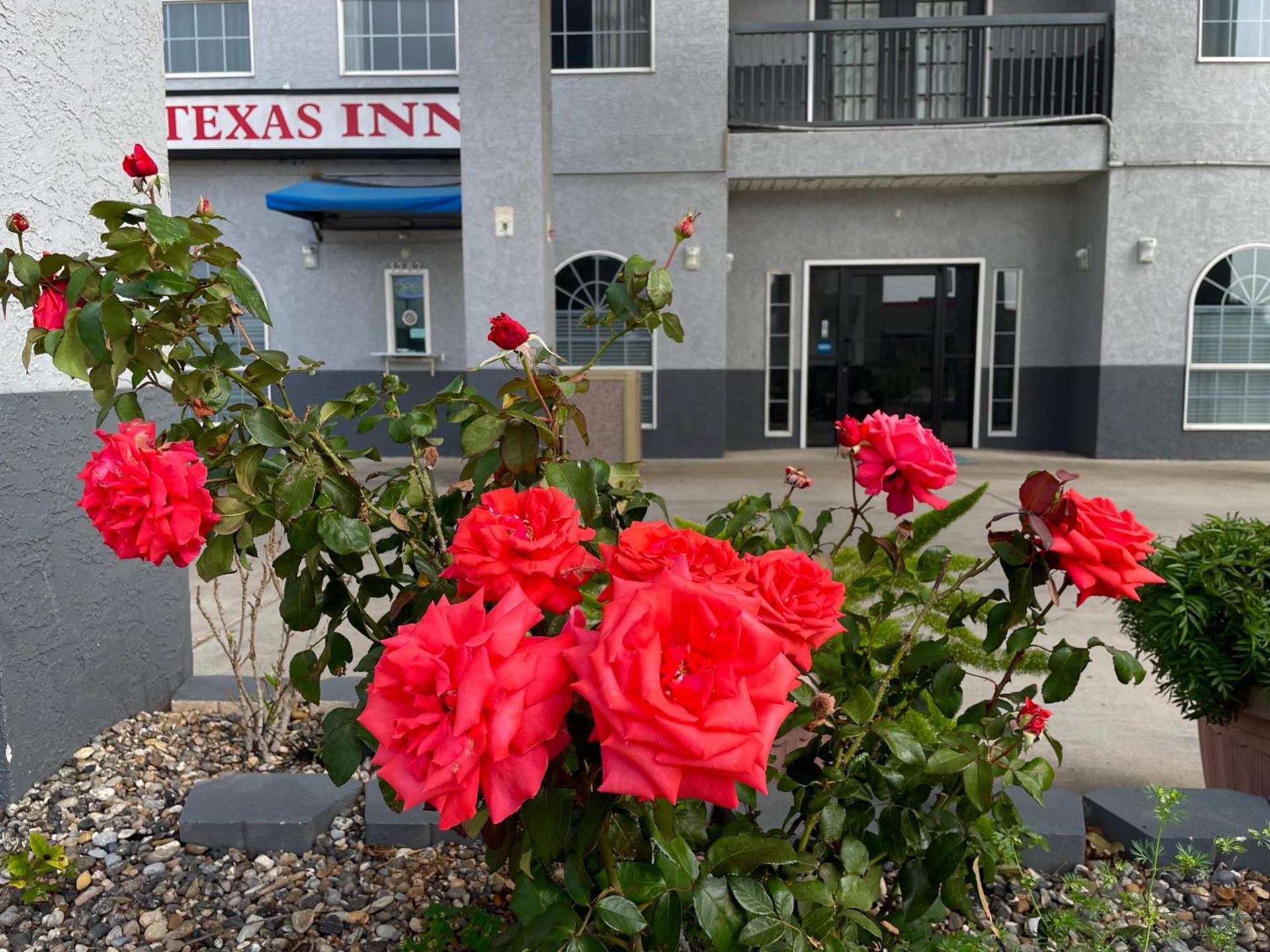 Texas Inn La Feria photo 3