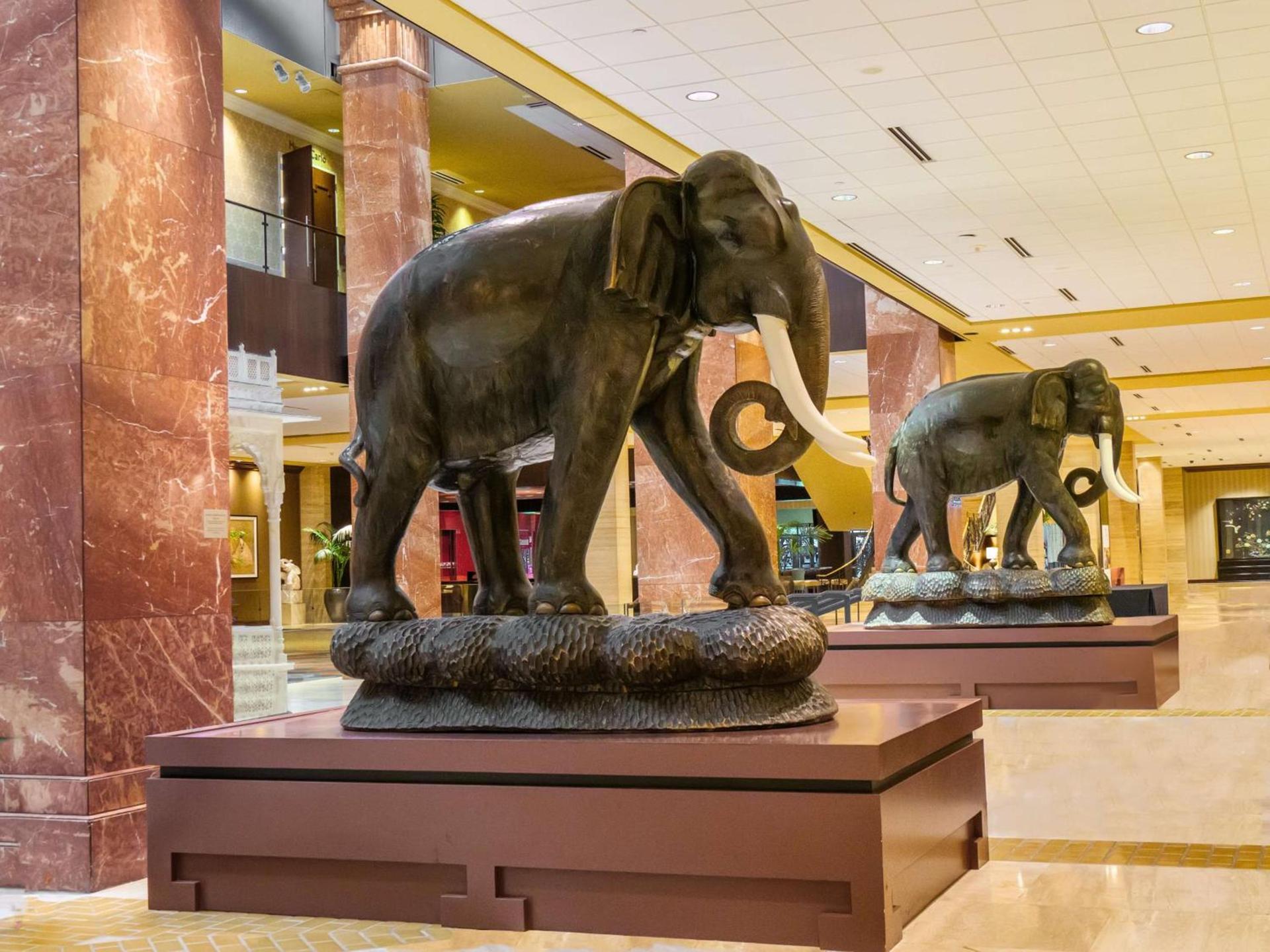 Hilton Anatole photo 26