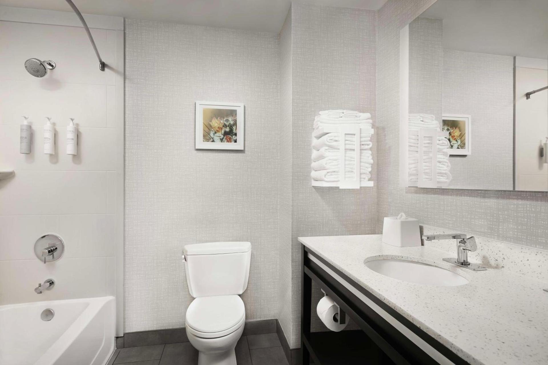 Hampton Inn & Suites El Paso/East photo 19