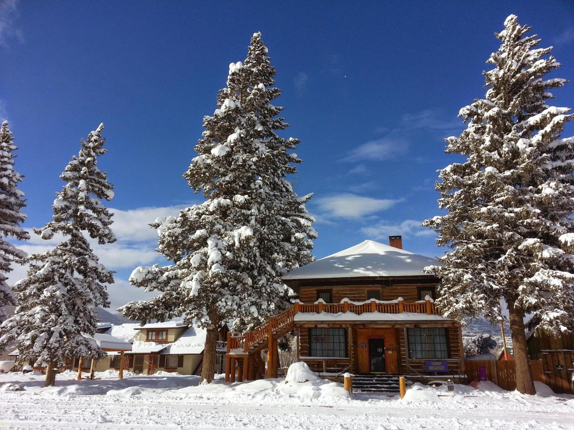 The Spruce Lodge photo 4